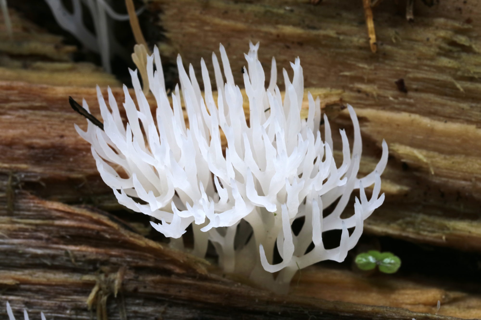 Valokuvaaja: hannu Rasiranta