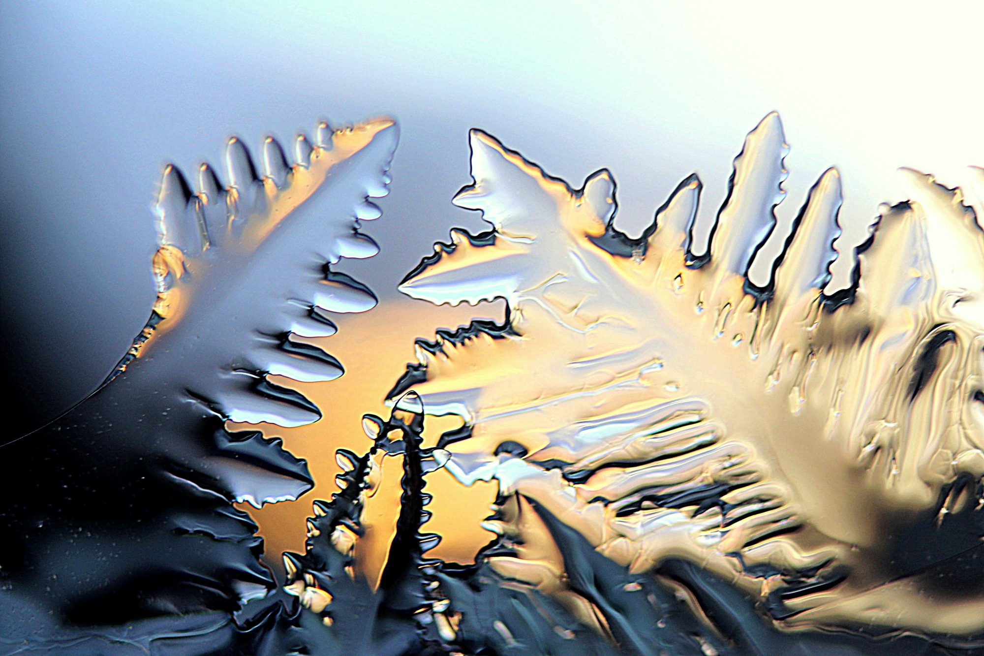 Valokuvaaja: Irja  Lehtinen