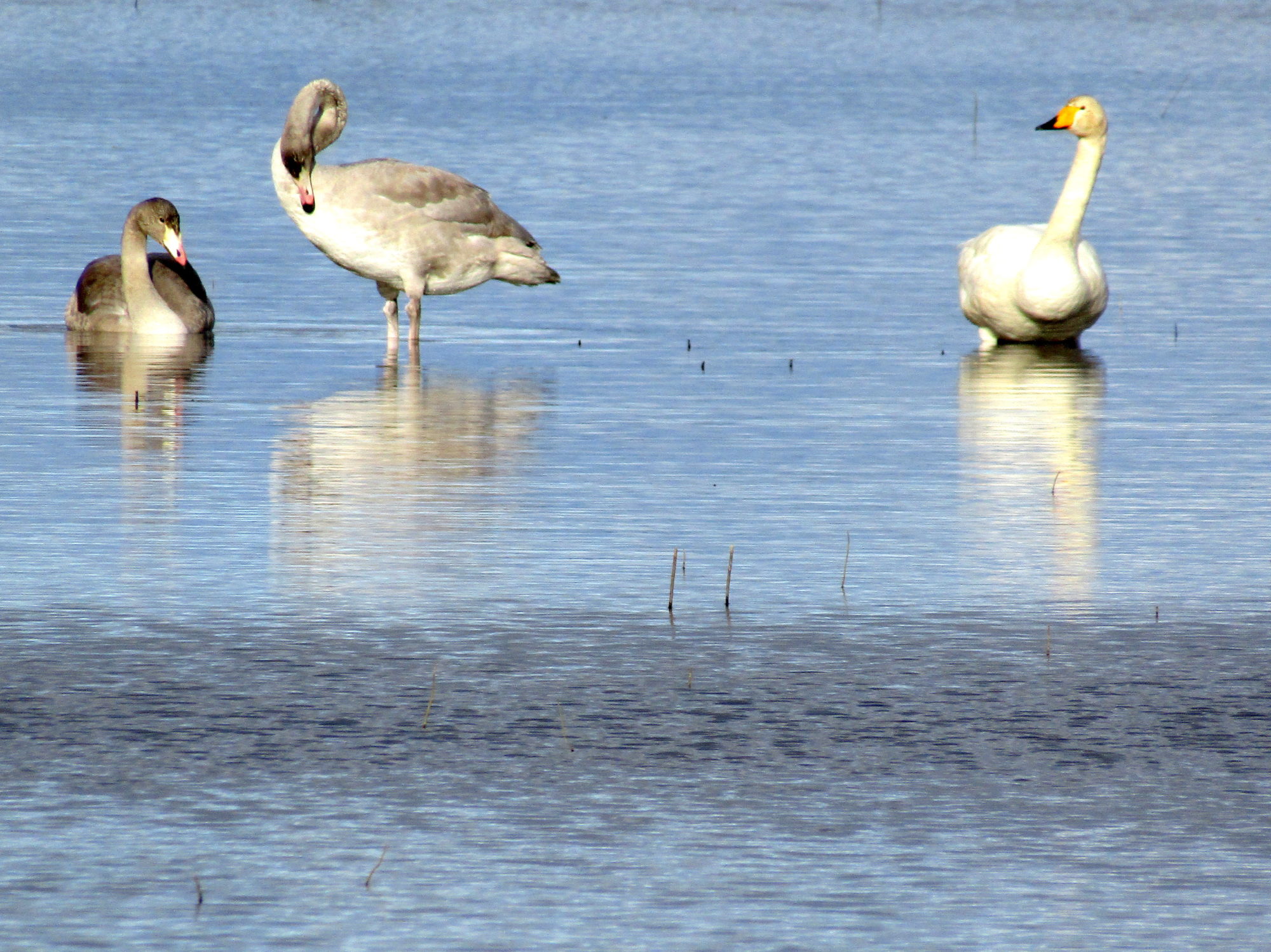 Valokuvaaja: Sirkka Ruotoistenmäki