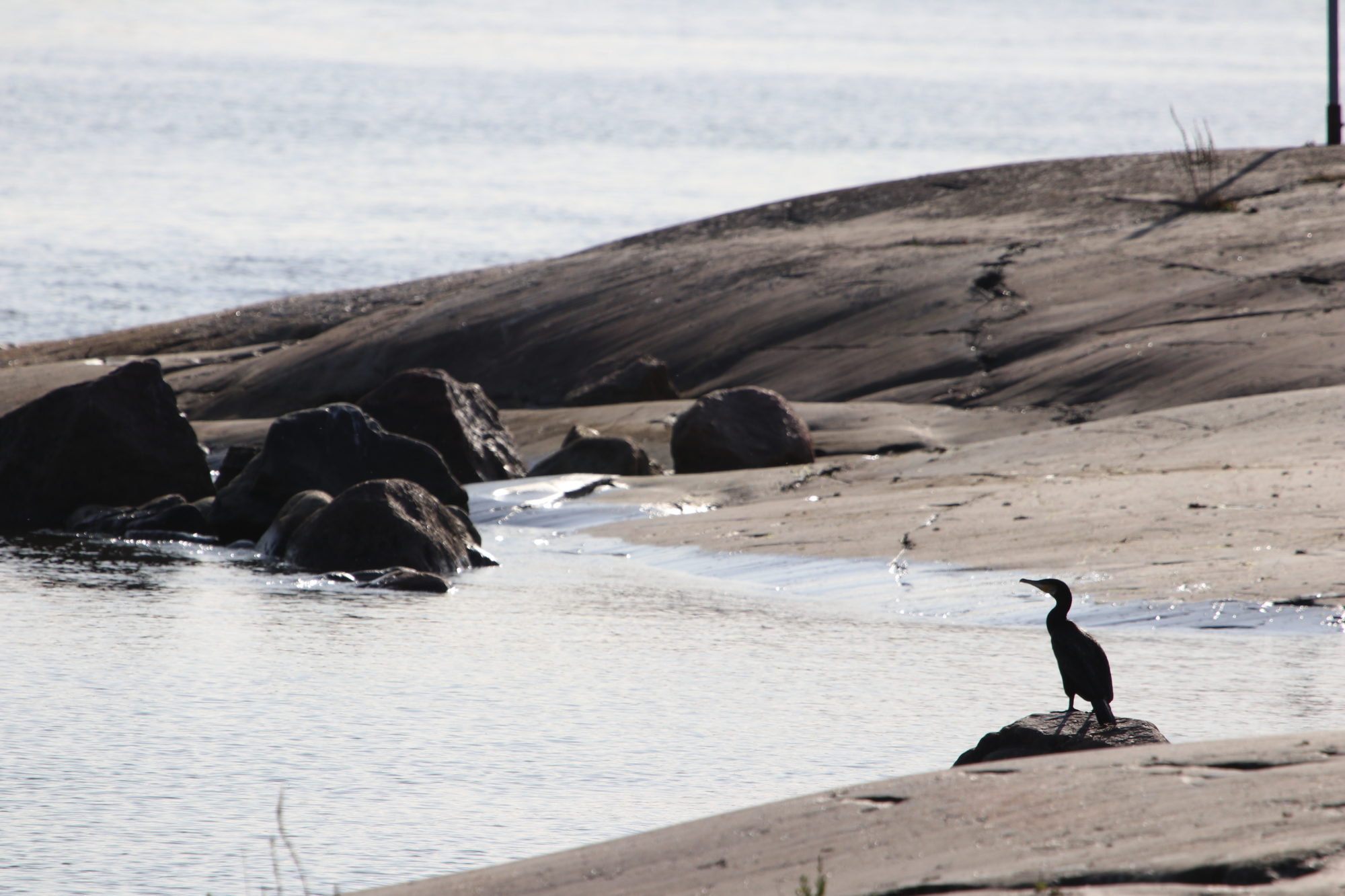 Valokuvaaja: Marianne Saviaho