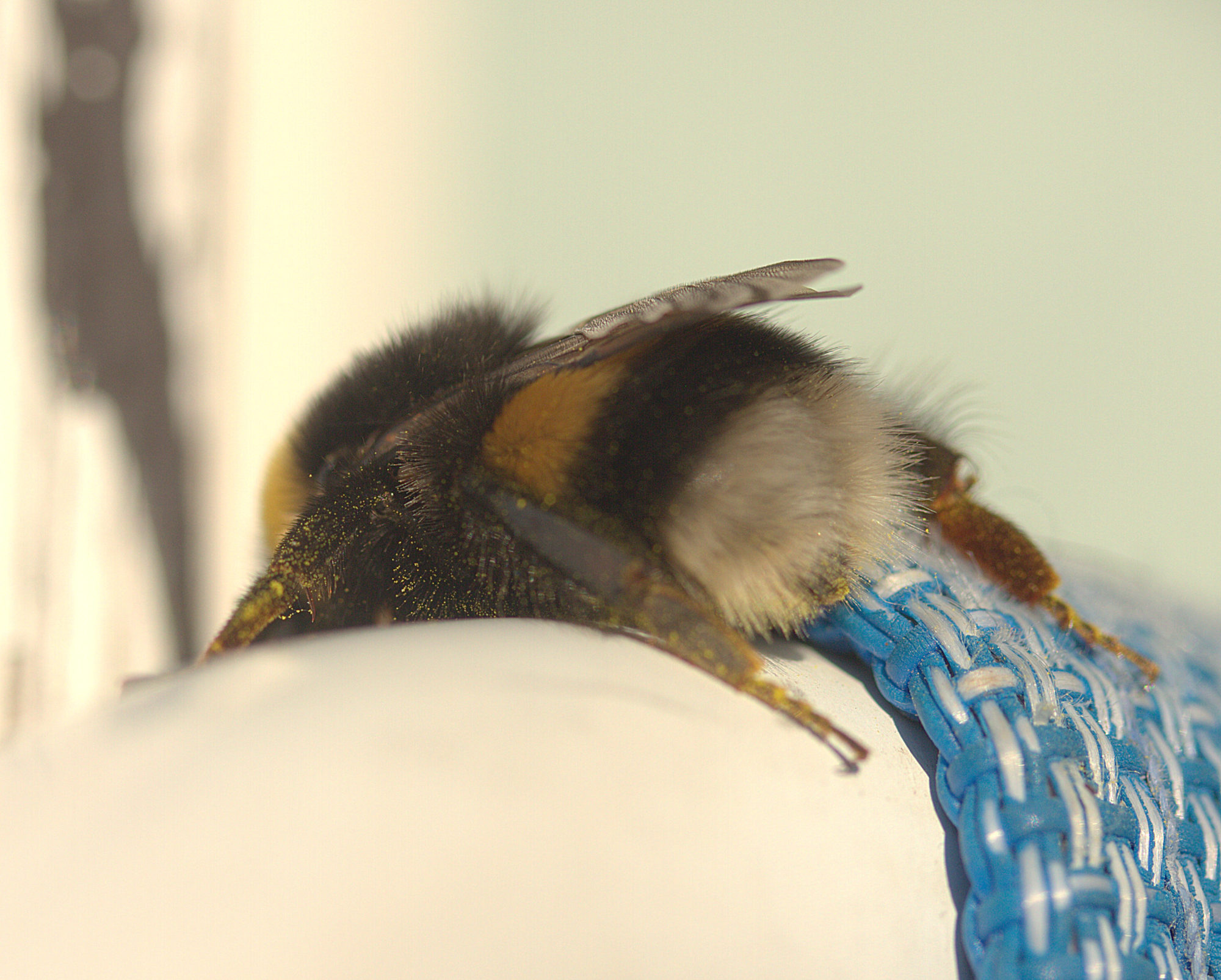 Valokuvaaja: Sirpa Jyske