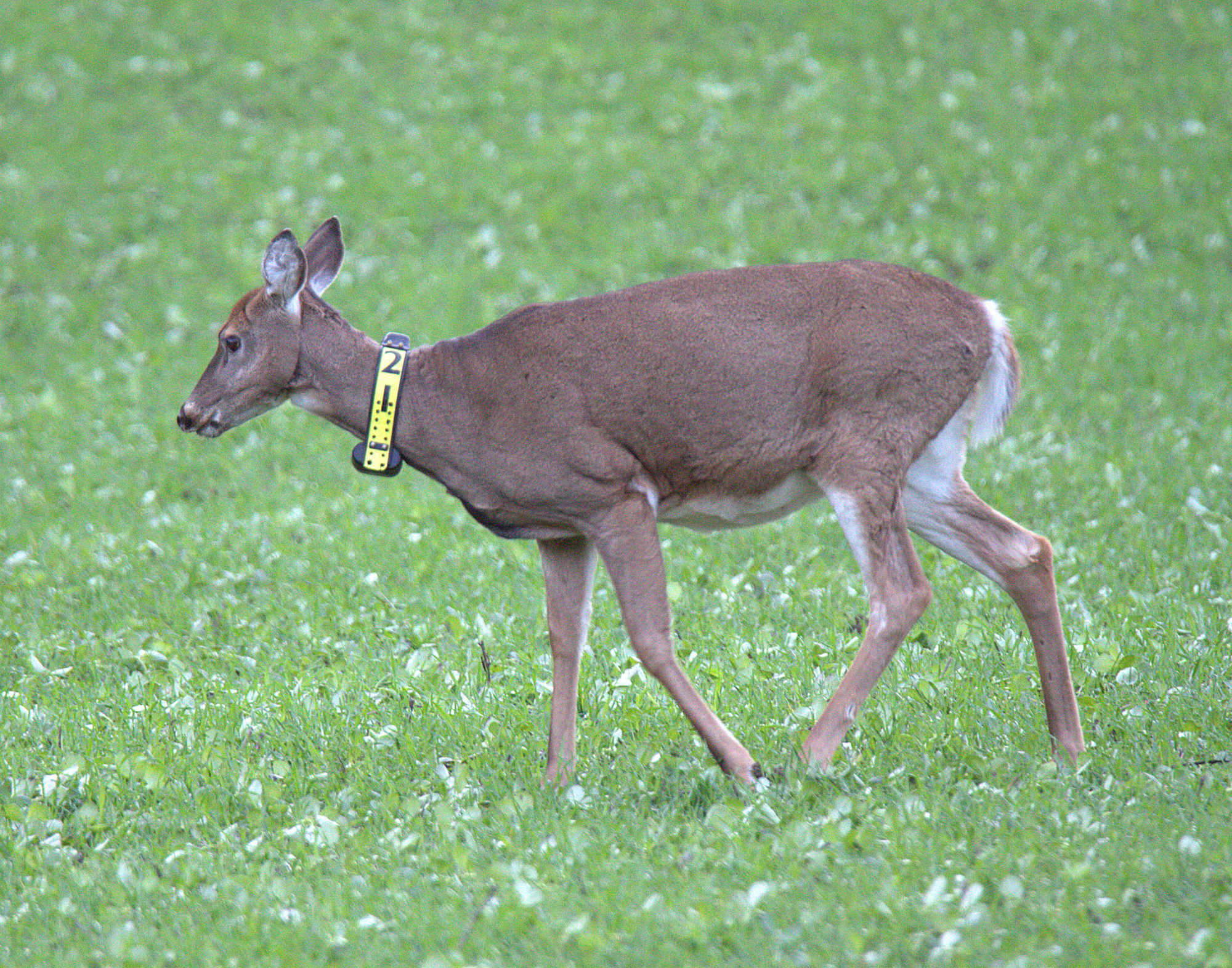 Valokuvaaja: Sirpa Jyske
