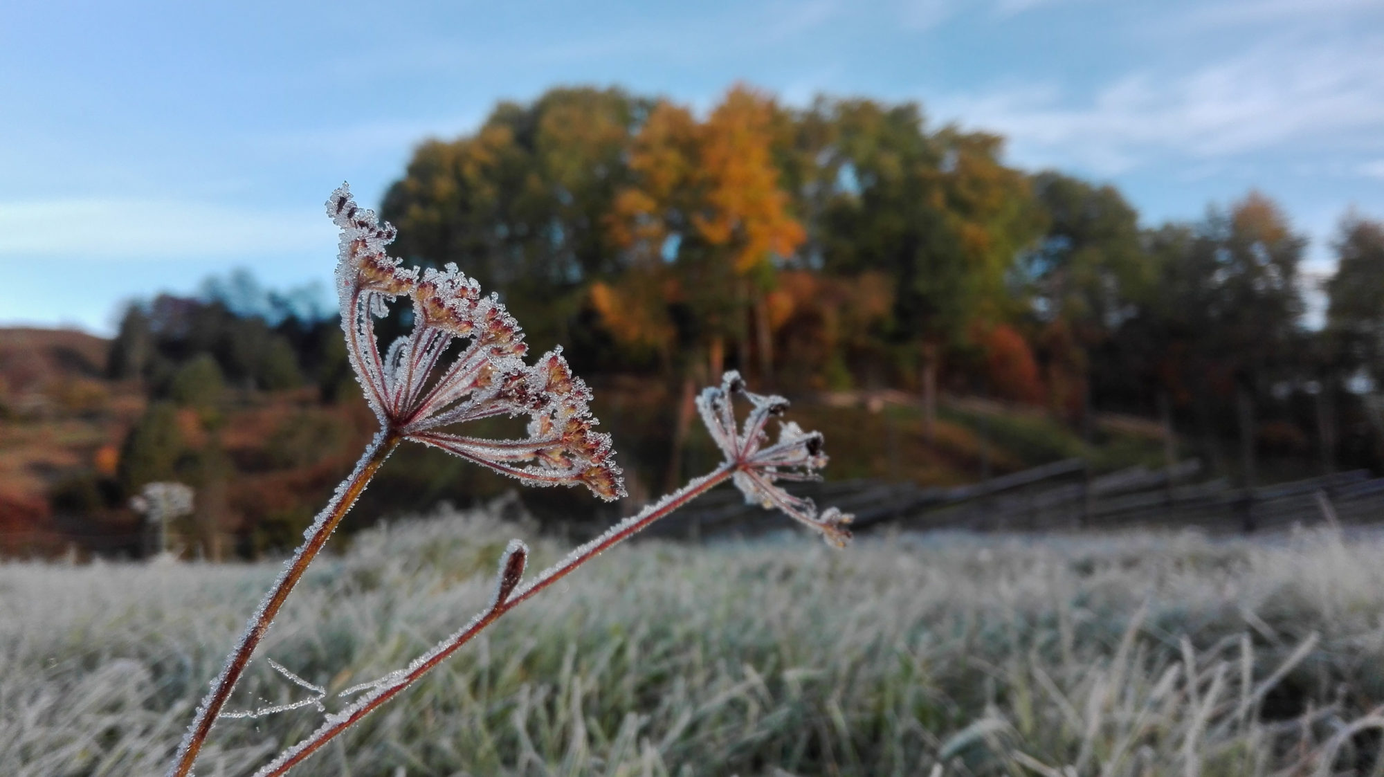 Valokuvaaja: Lilja Helenius