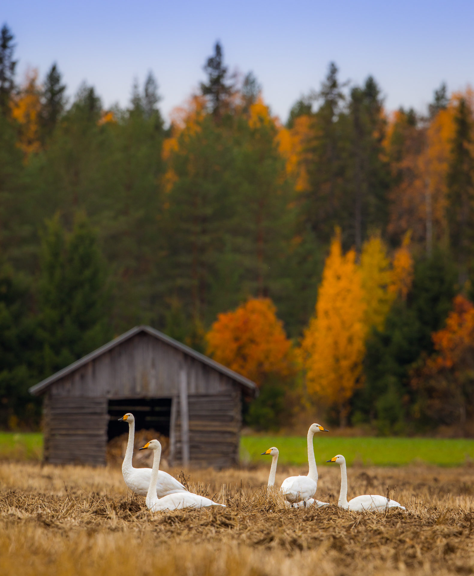Valokuvaaja: Jukka Risikko