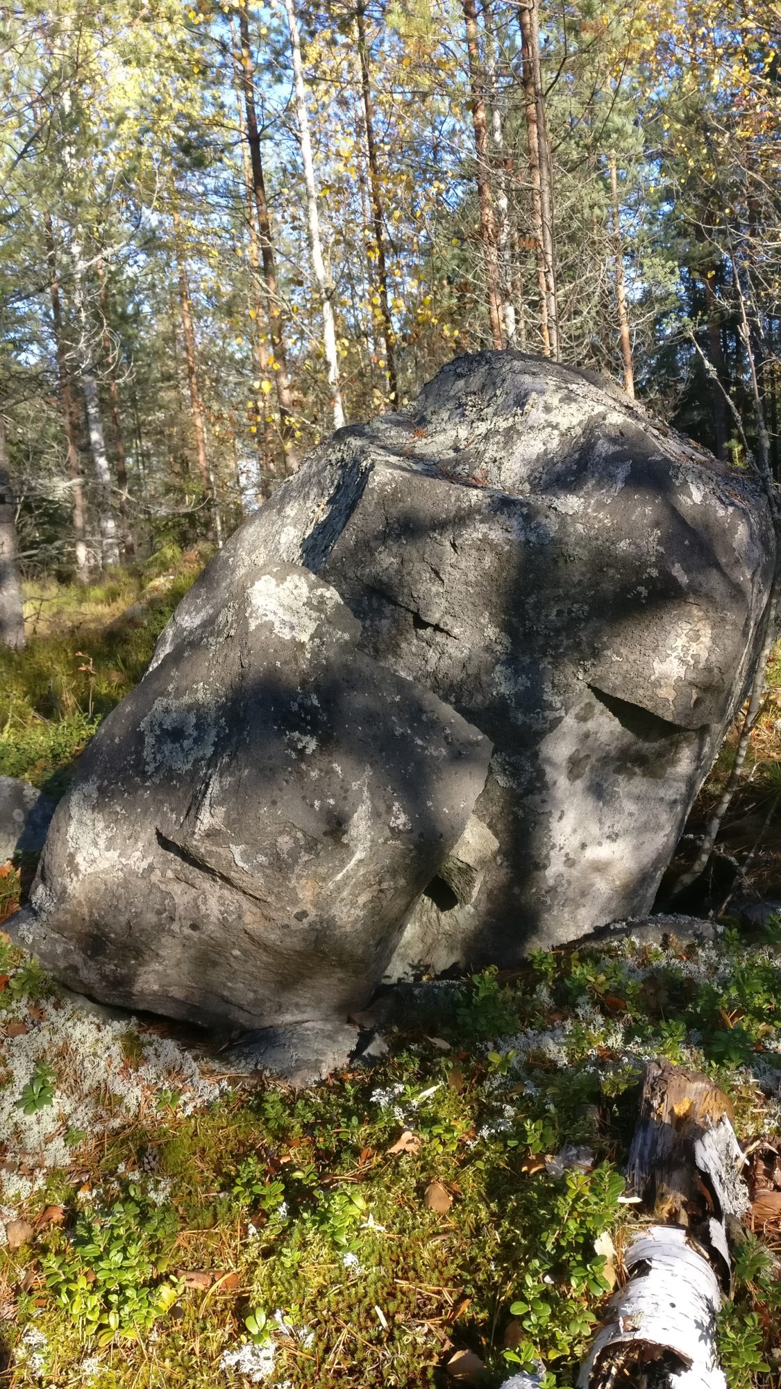 Valokuvaaja: Helena Sytelä