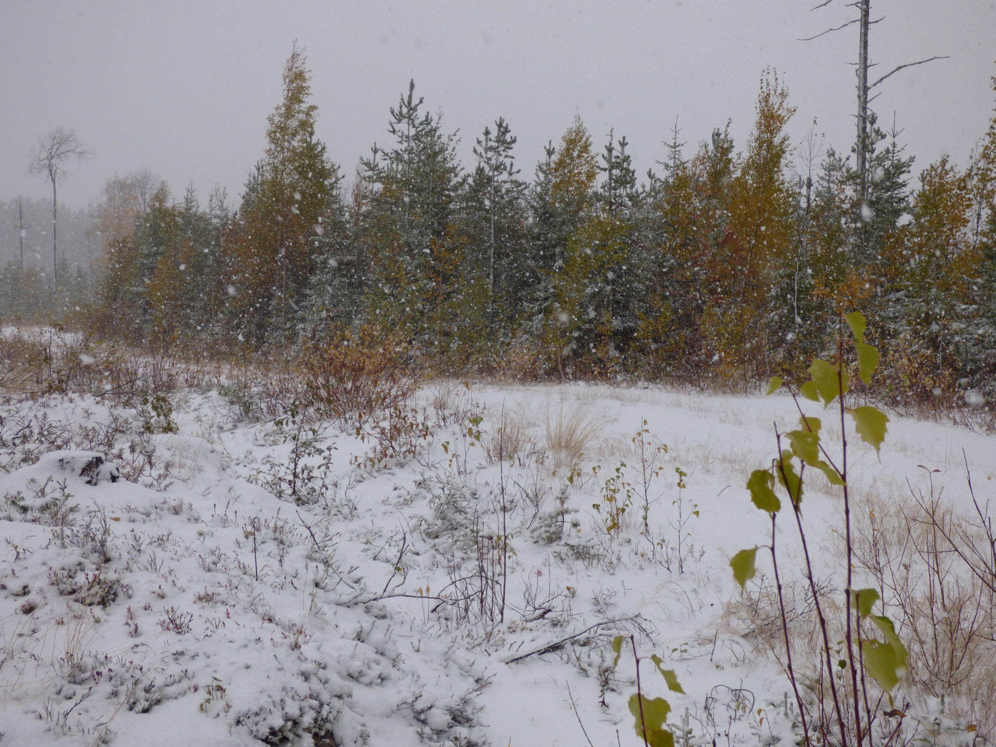 Valokuvaaja: Hannu Rissanen