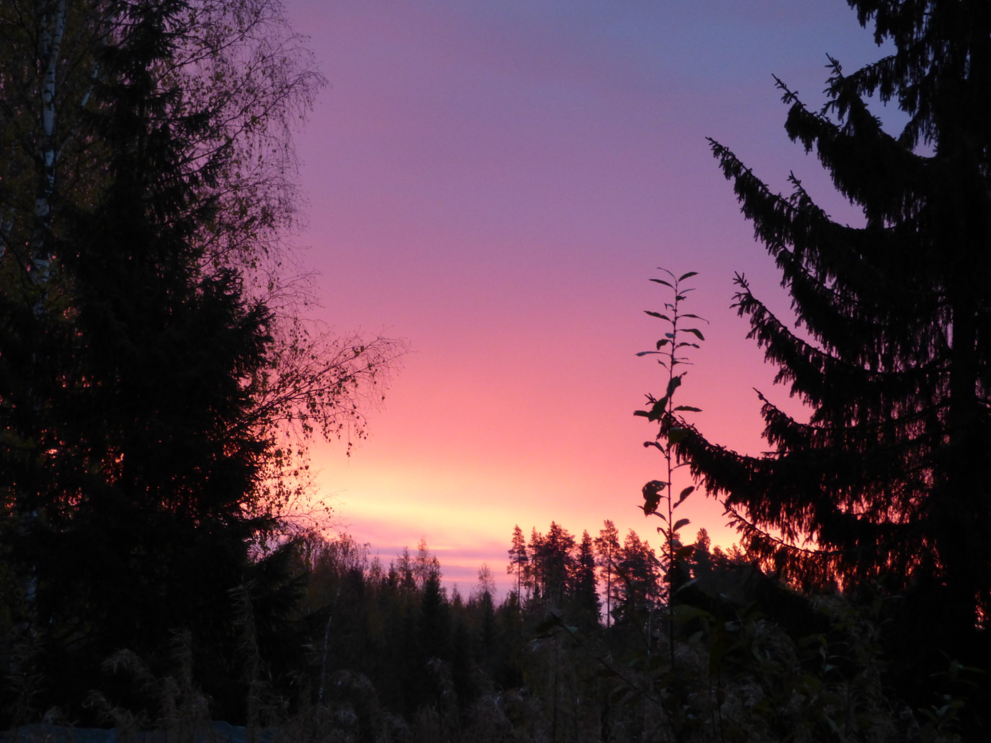 Valokuvaaja: Hannu Rissanen