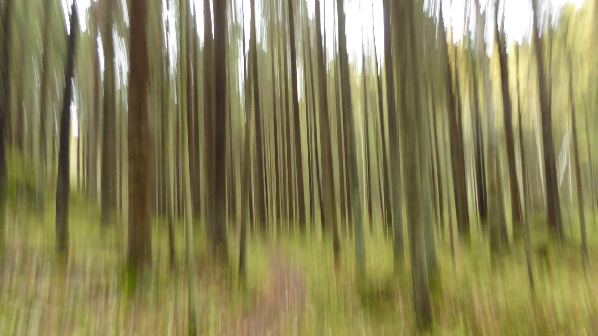 Valokuvaaja: Martti Valtonen