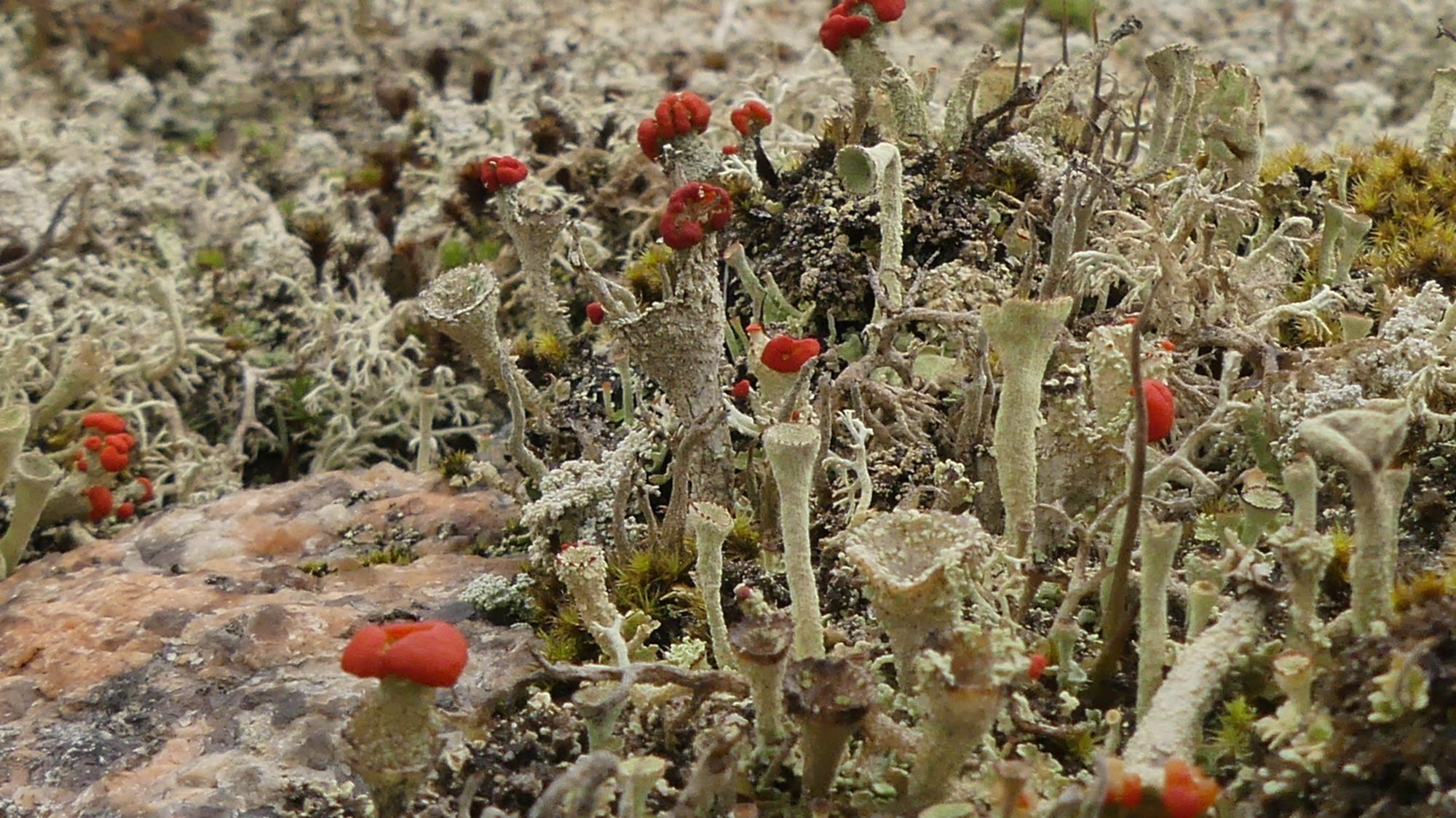 Valokuvaaja: Martti Valtonen