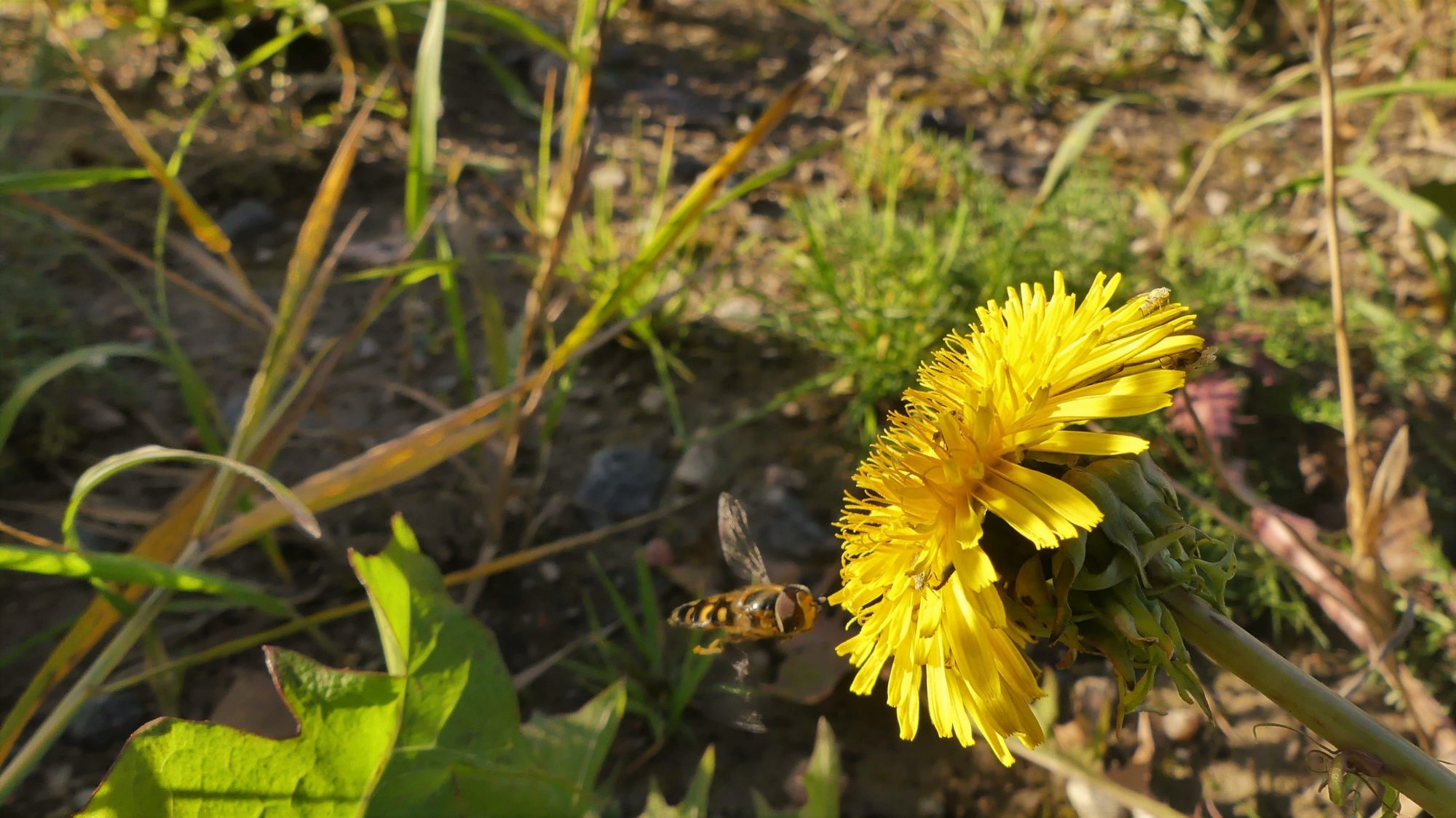 Valokuvaaja: Martti Valtonen