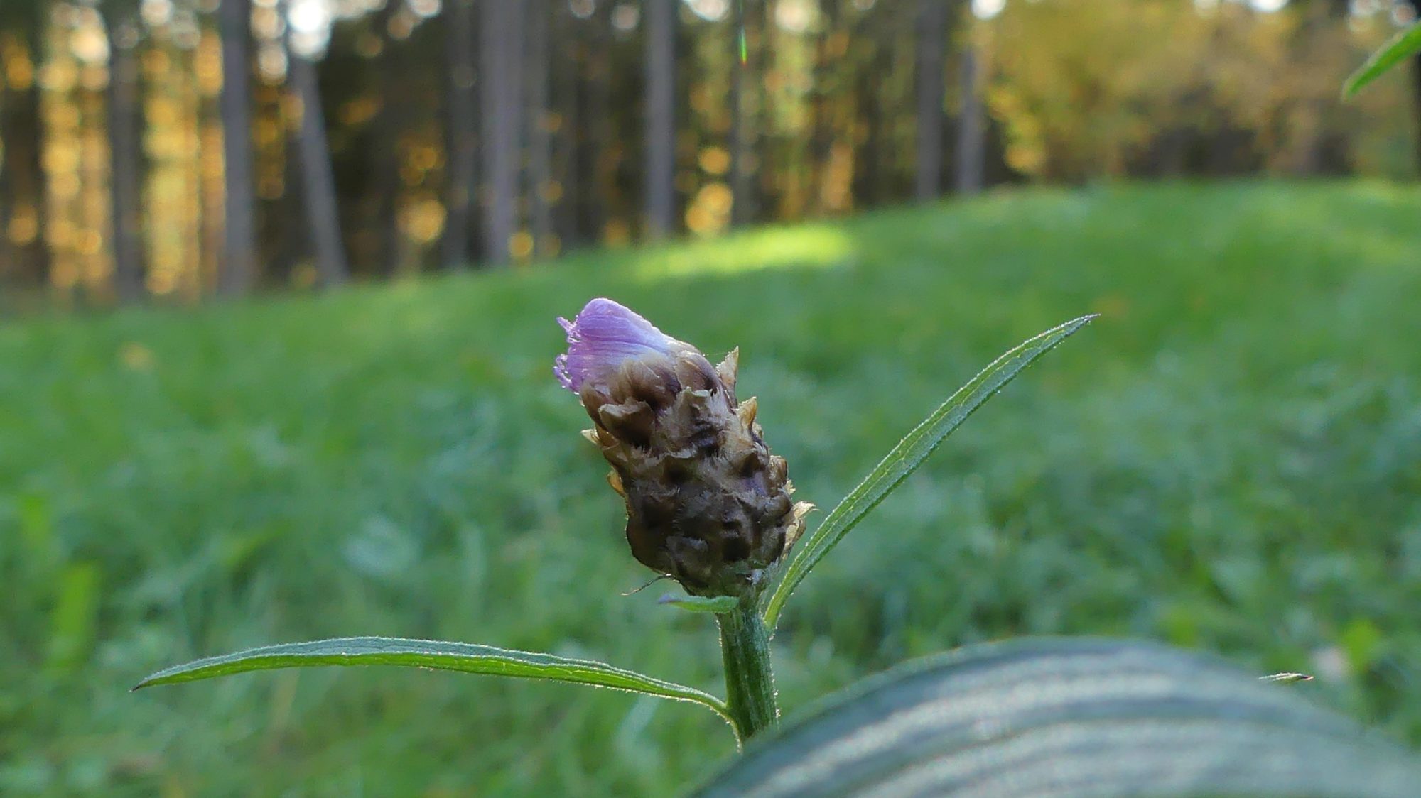 Valokuvaaja: Martti Valtonen