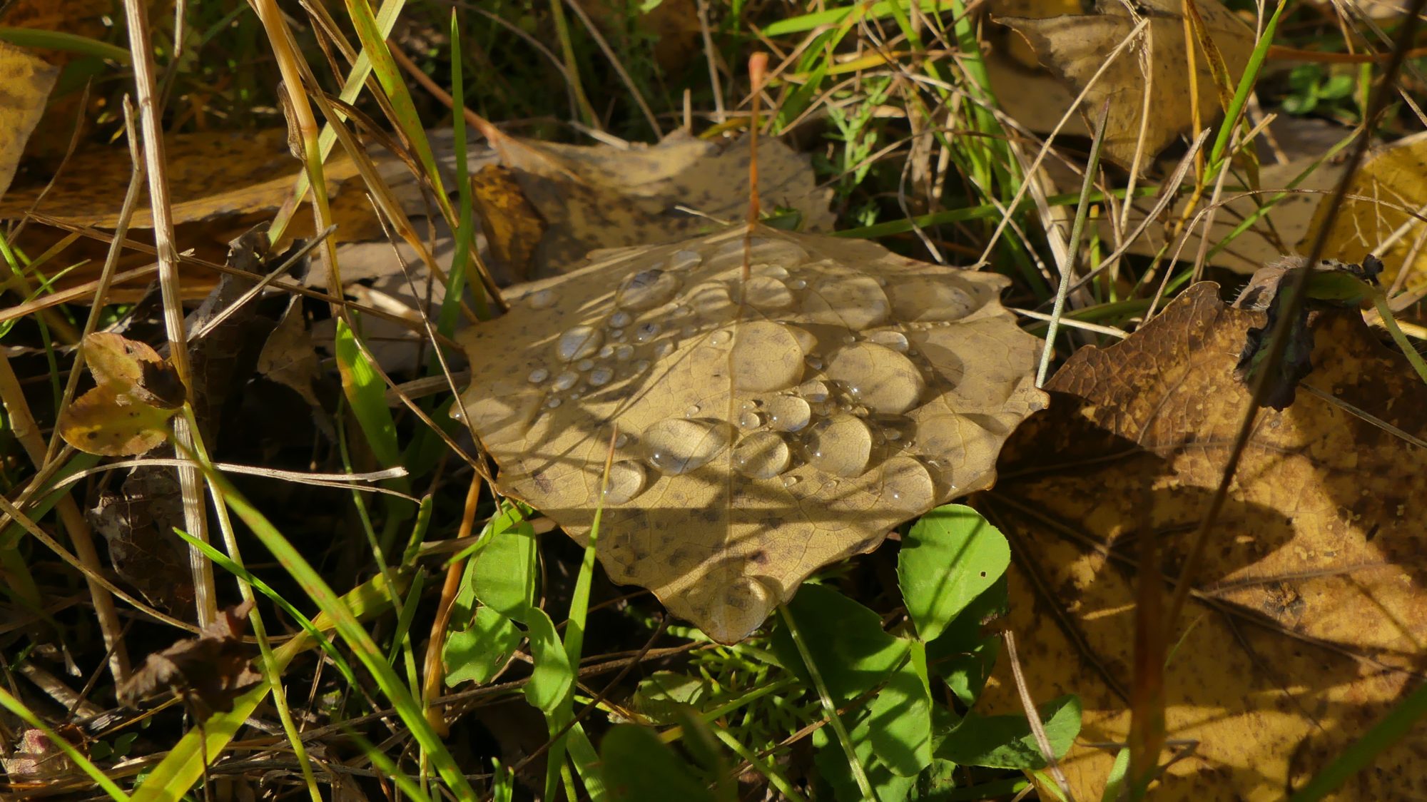 Valokuvaaja: Martti Valtonen