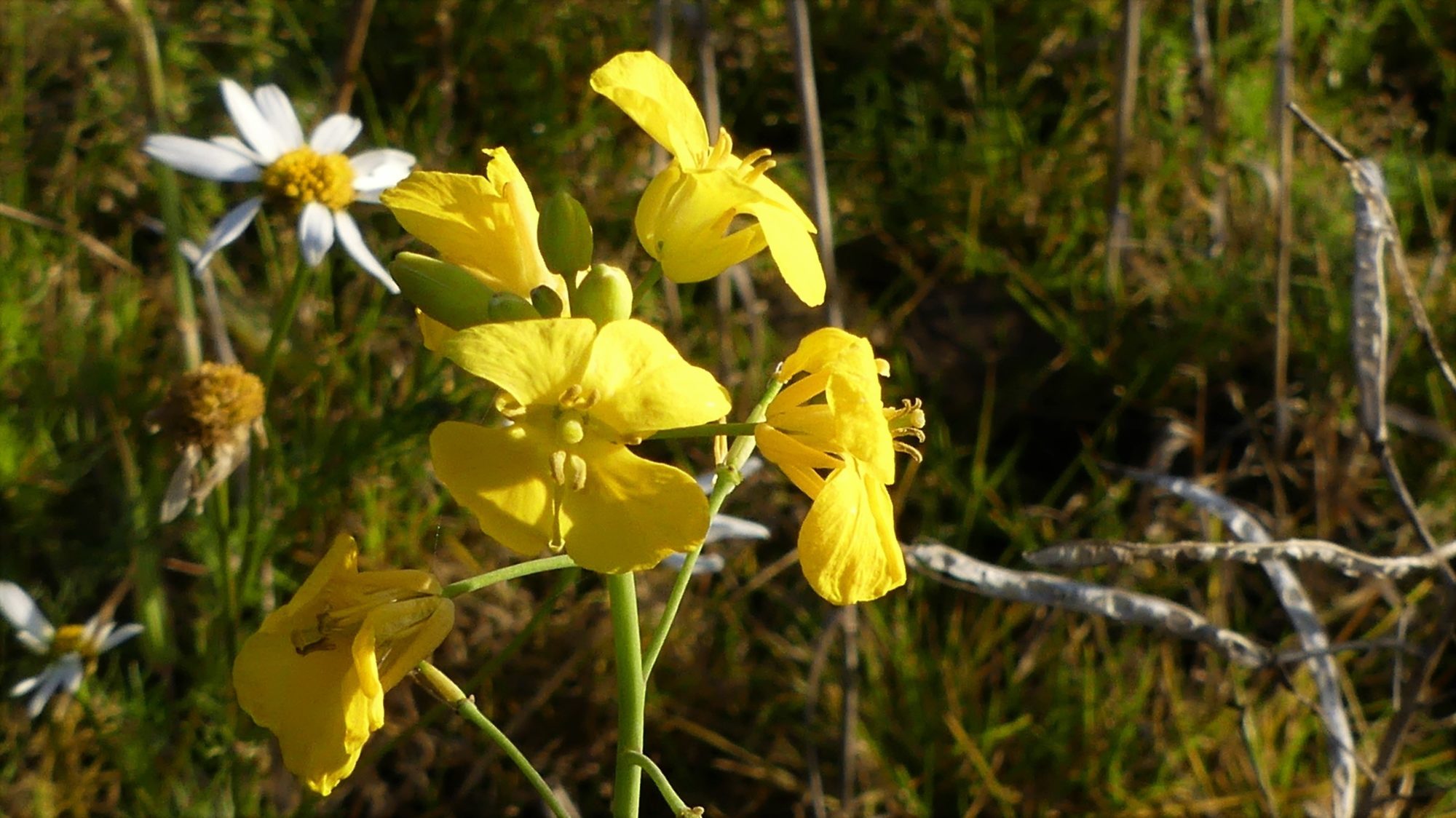 Valokuvaaja: Martti Valtonen