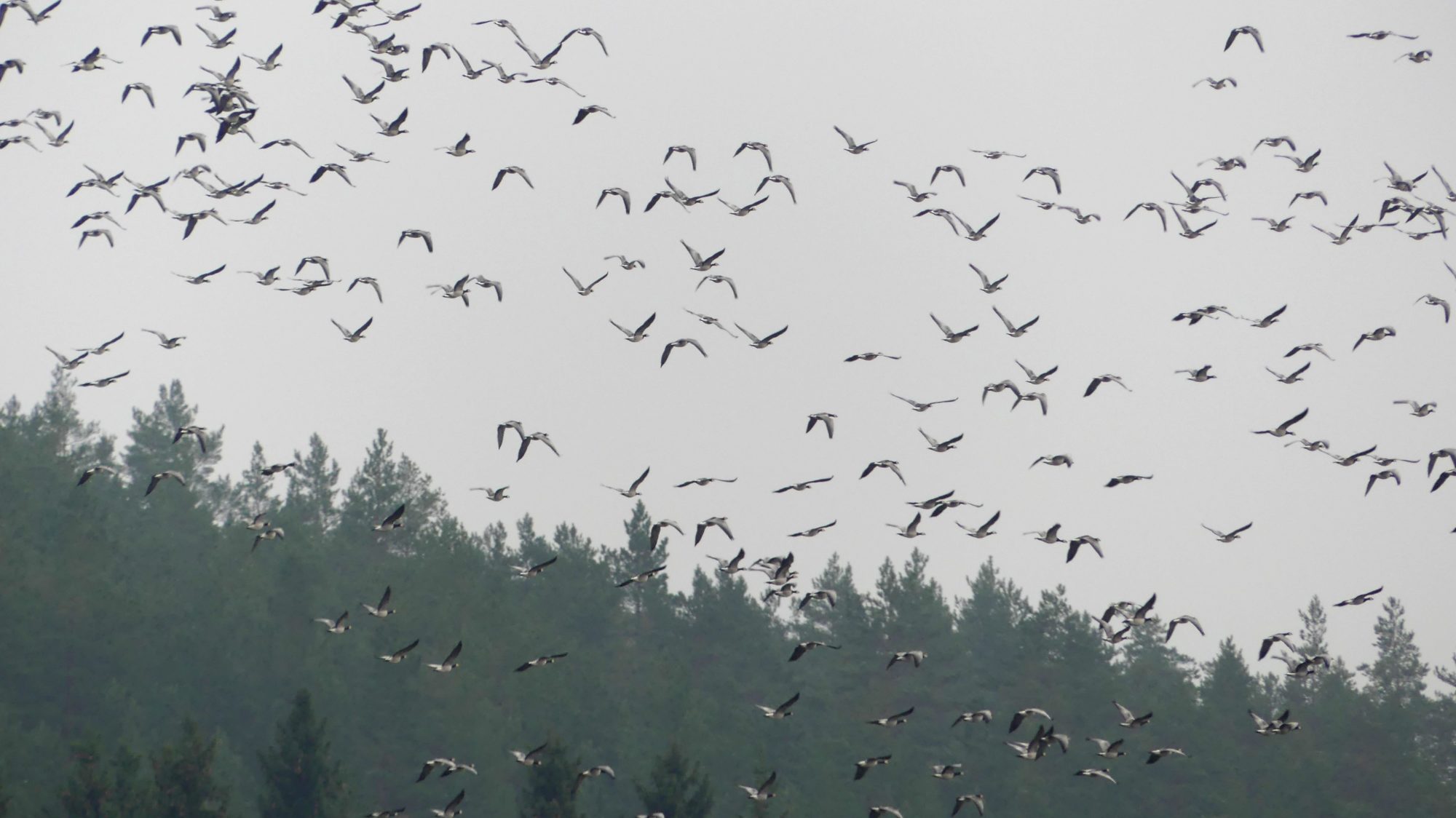 Valokuvaaja: Martti Valtonen