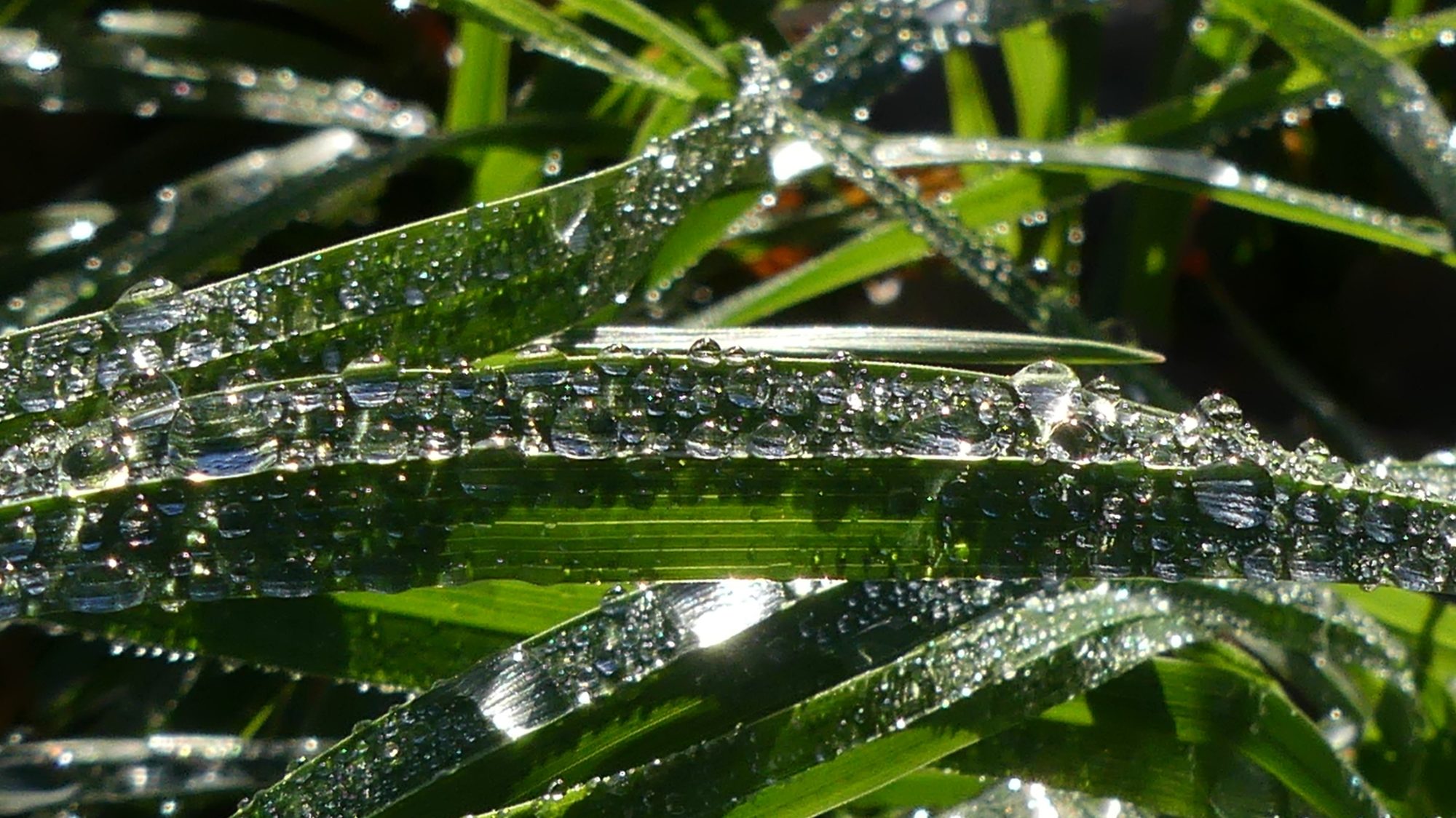 Valokuvaaja: Martti Valtonen