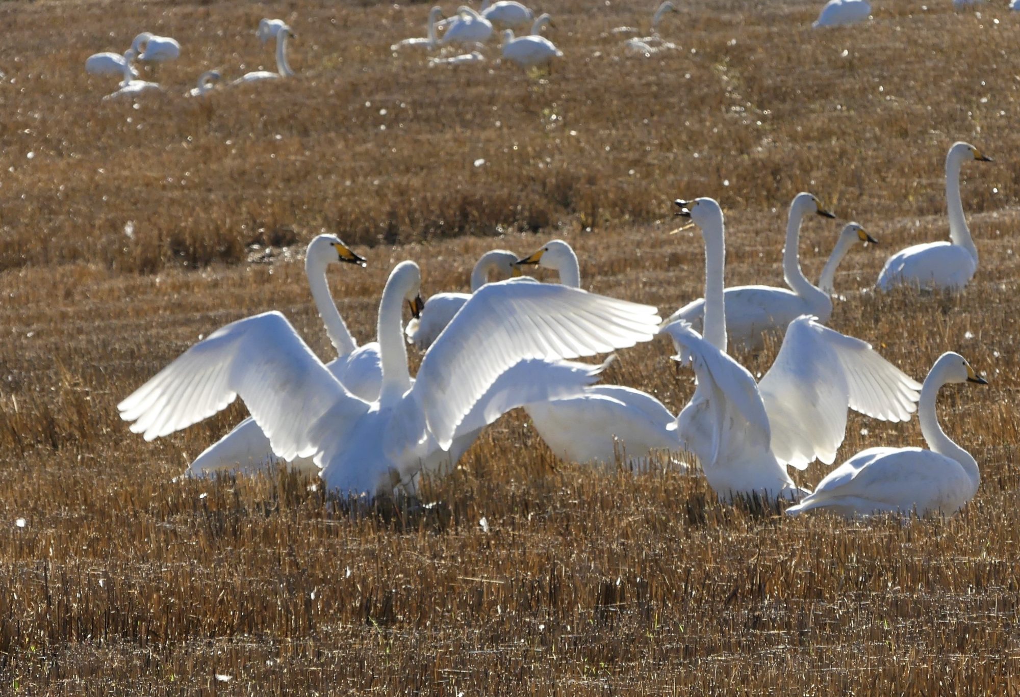 Valokuvaaja: Martti Valtonen