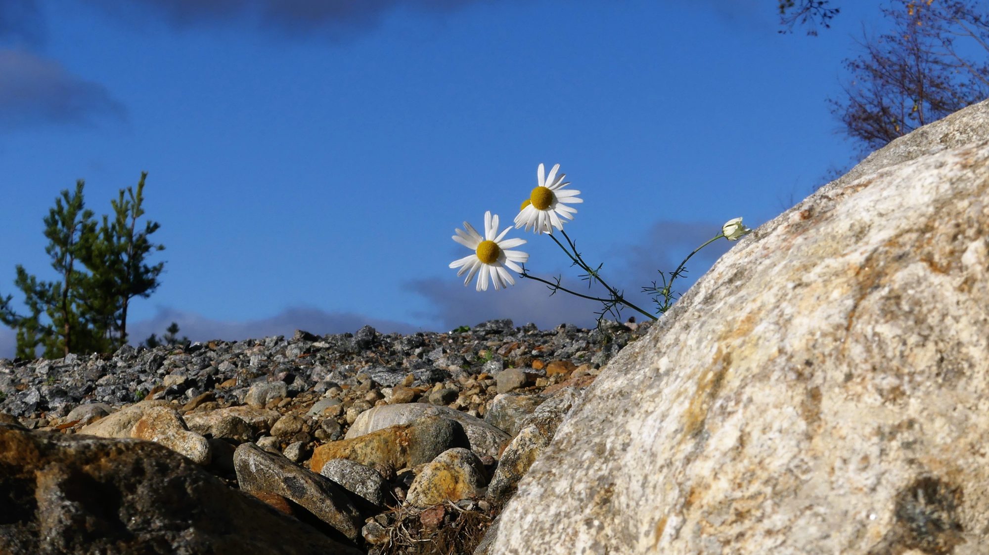 Valokuvaaja: Martti Valtonen