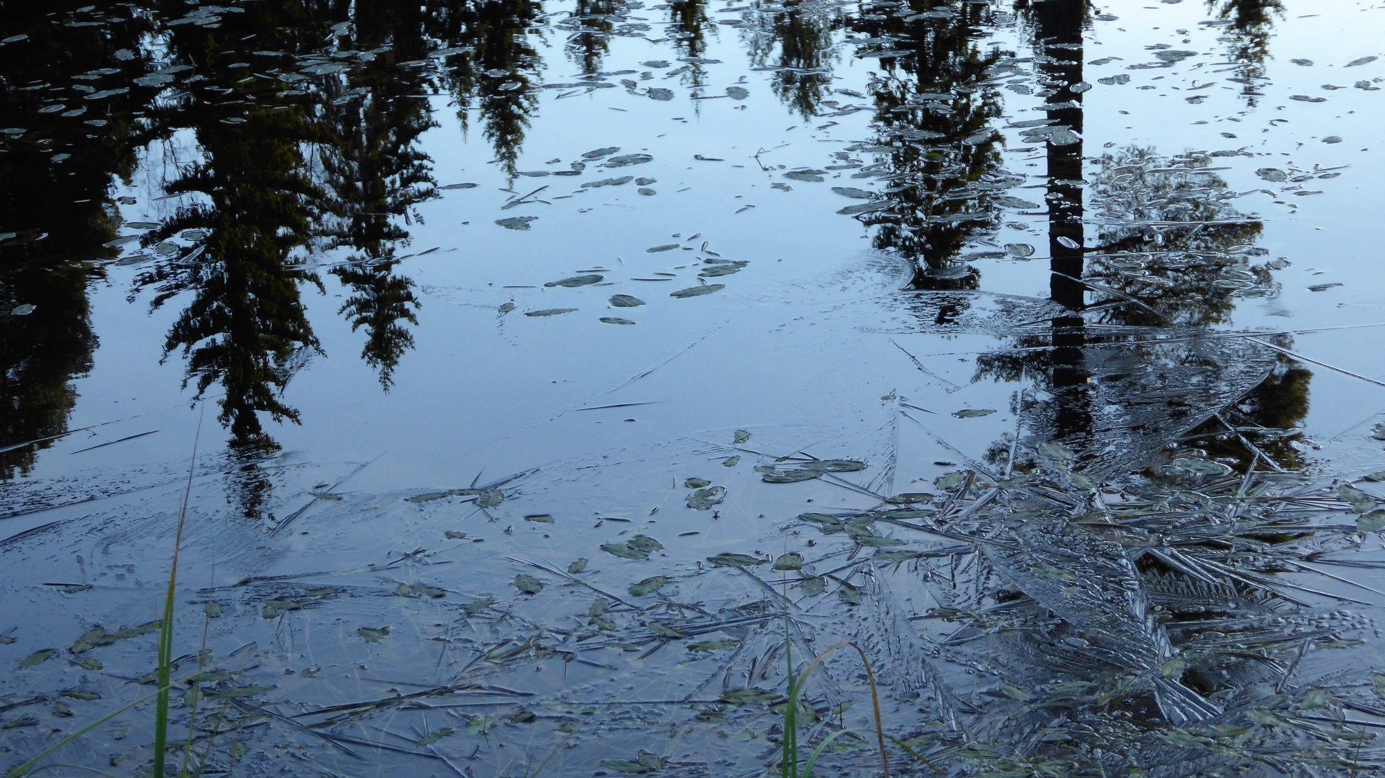 Valokuvaaja: Arja Valtonen