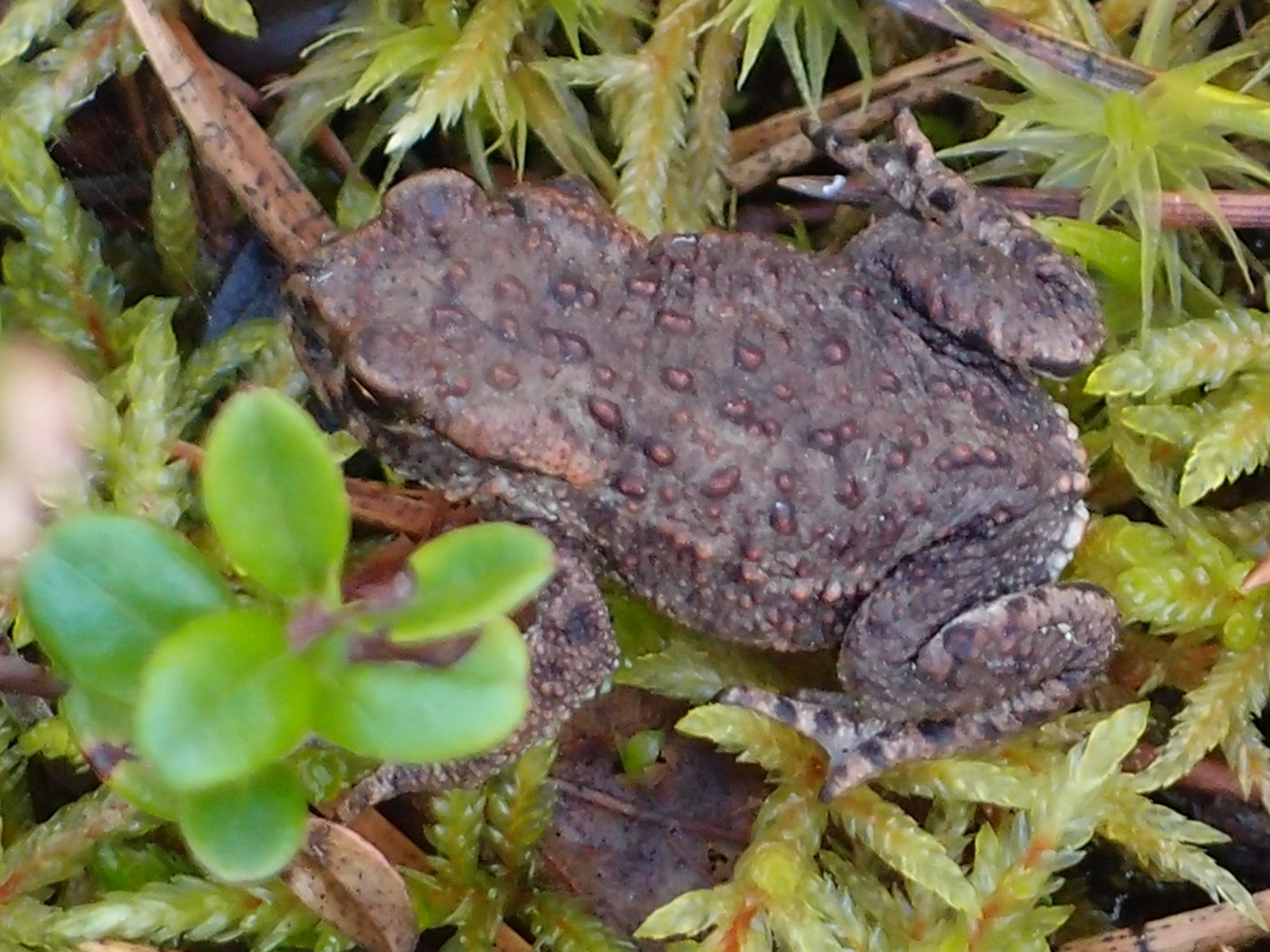 Valokuvaaja: Risto Kangassalo