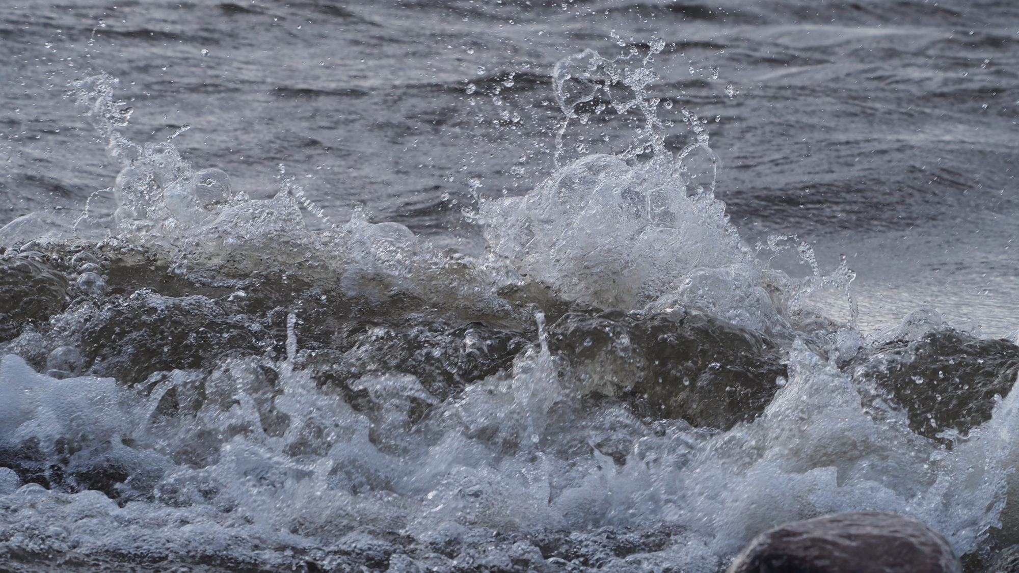 Valokuvaaja: Arja Valtonen