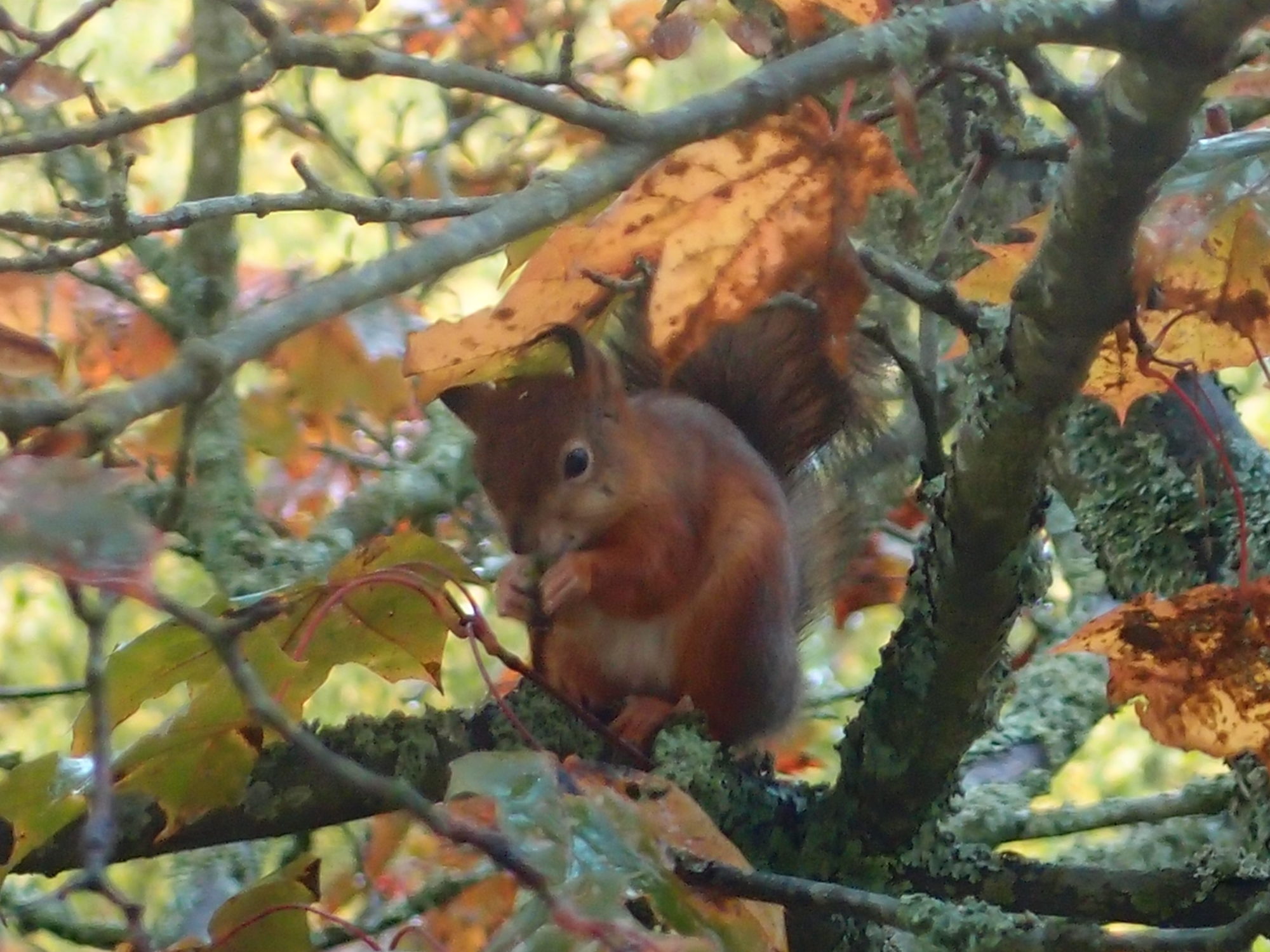 Valokuvaaja: Risto Kangassalo