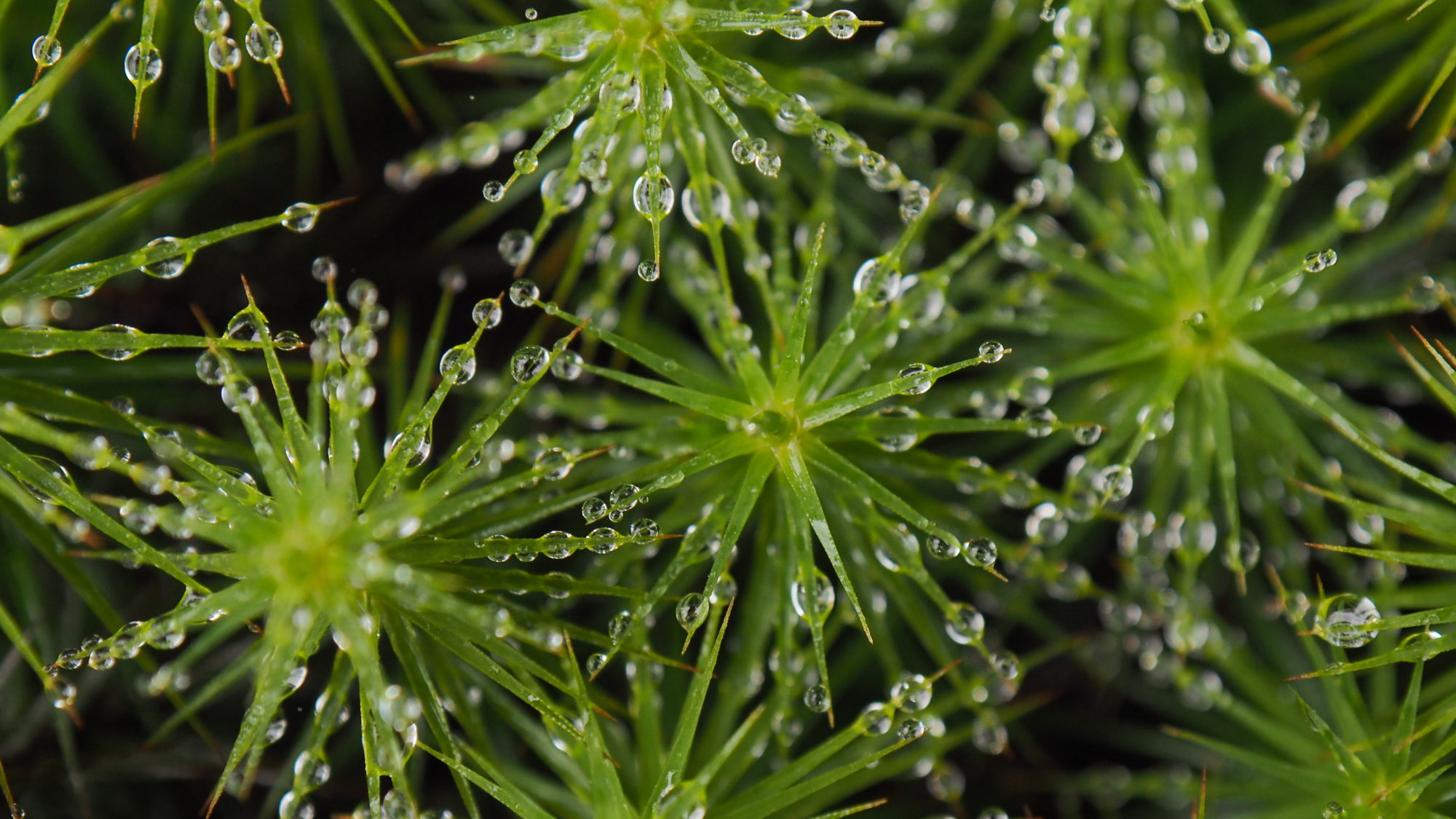 Valokuvaaja: Arja Valtonen