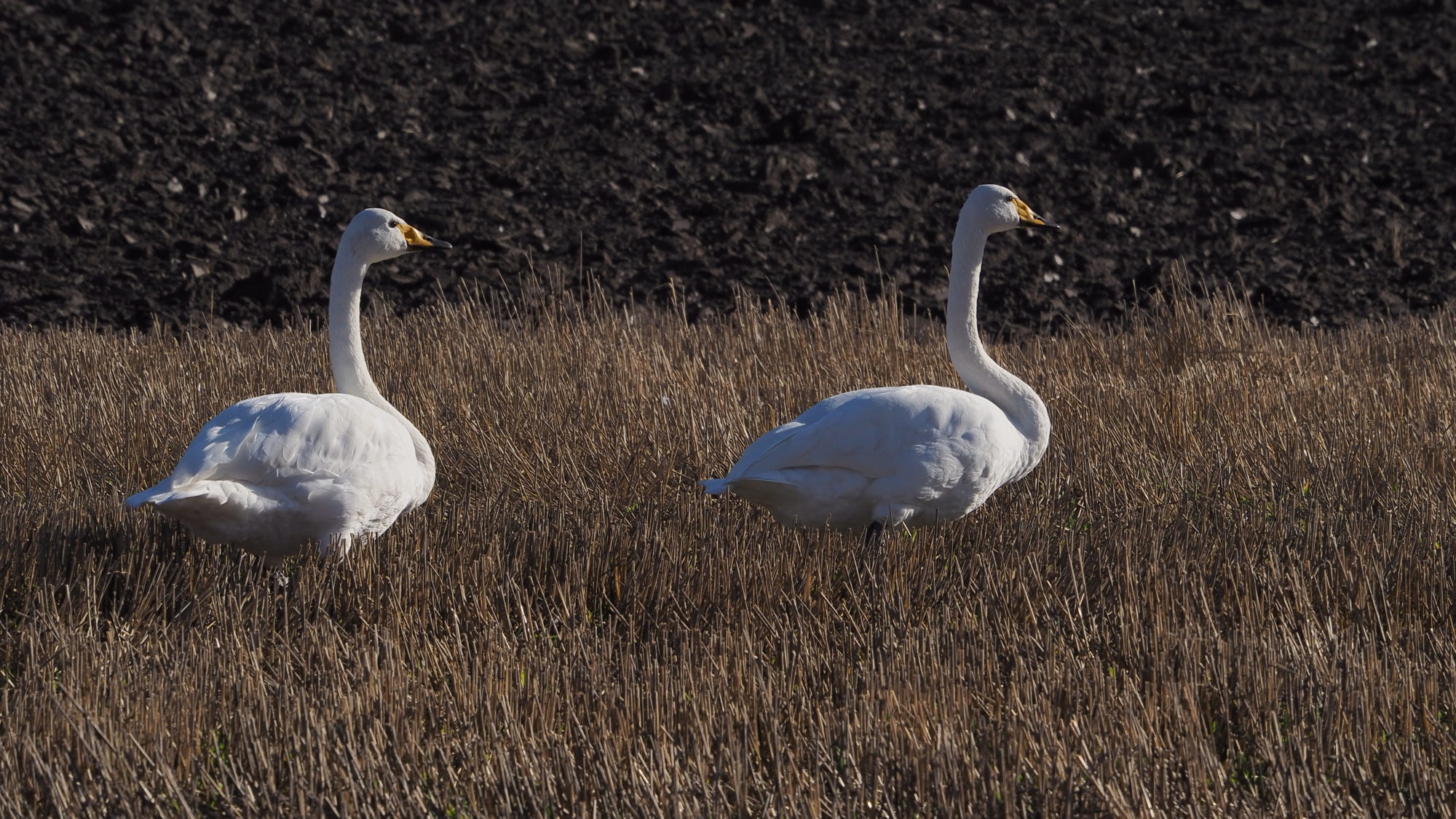 Valokuvaaja: Arja Valtonen