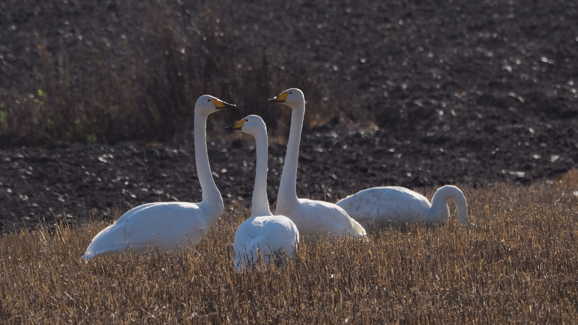 Valokuvaaja: Arja Valtonen