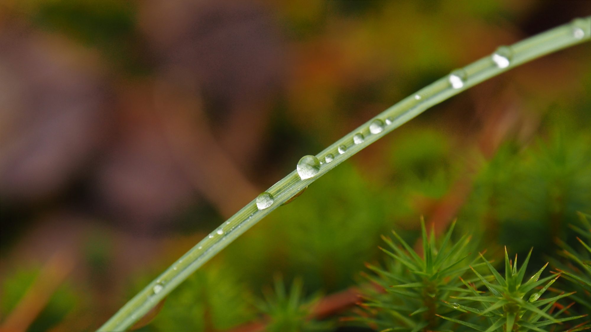 Valokuvaaja: Arja Valtonen