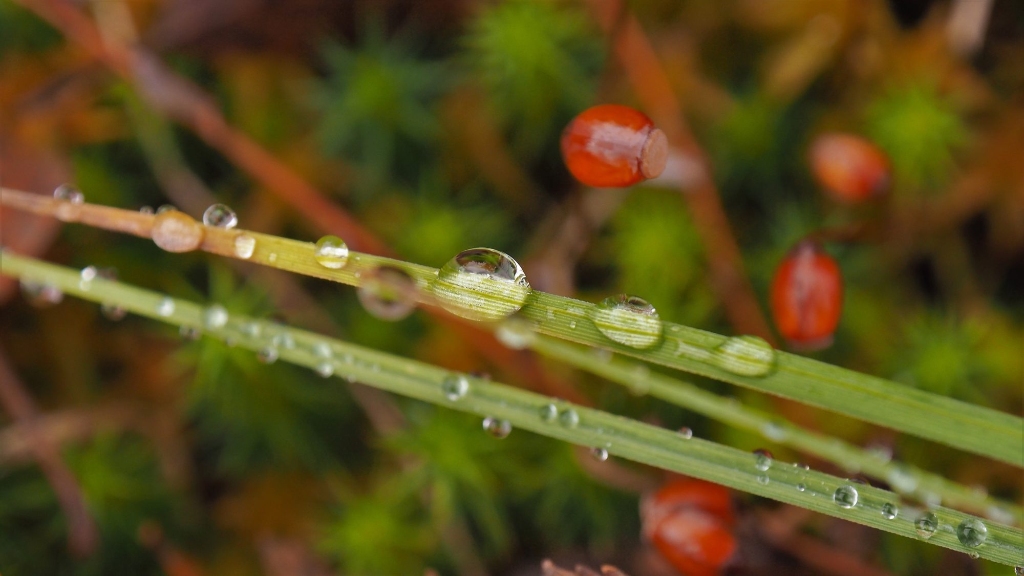 Valokuvaaja: Arja Valtonen Valokuvaaja: Arja Valtonen