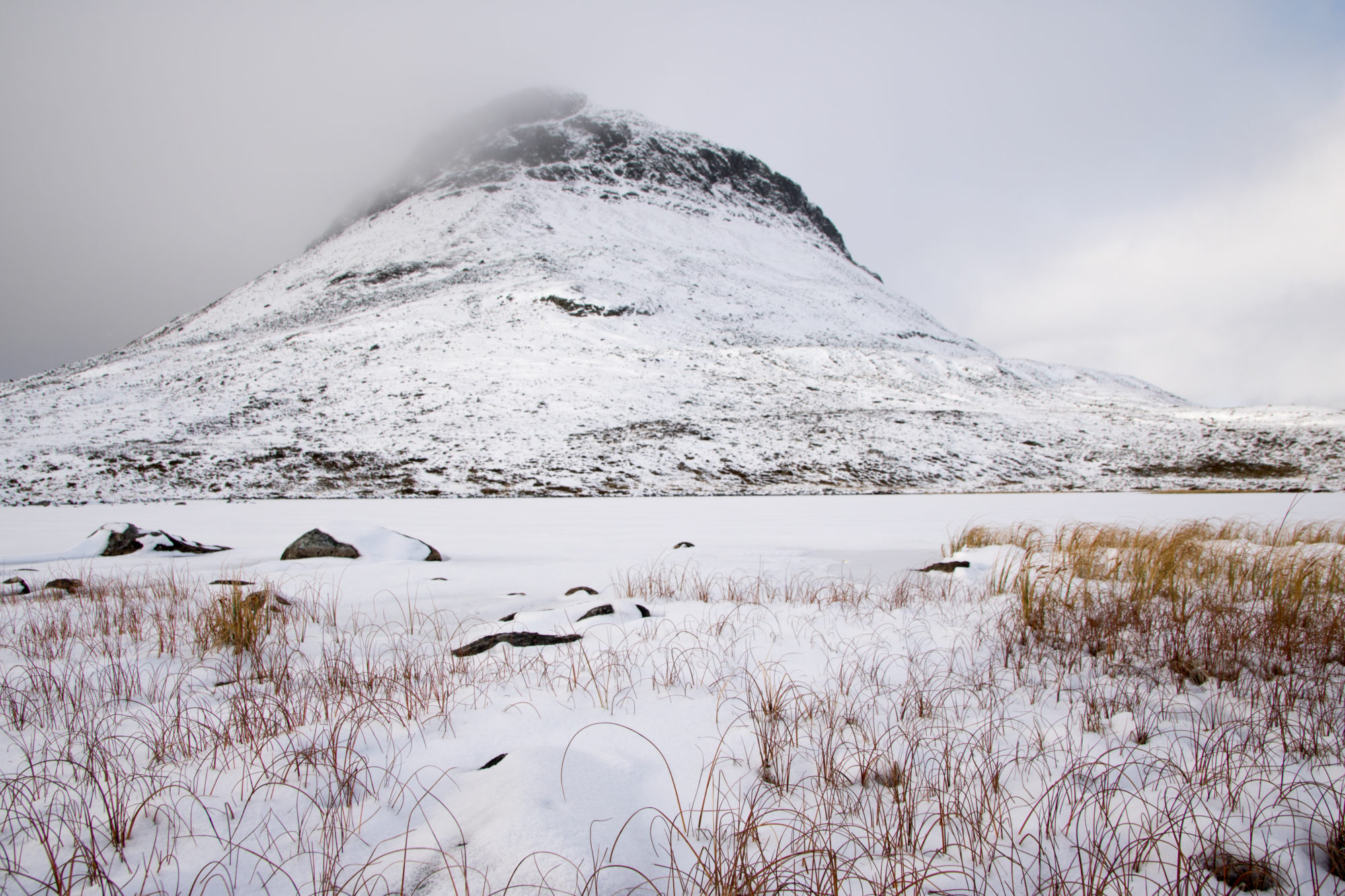 Valokuvaaja: Katri Niskanen