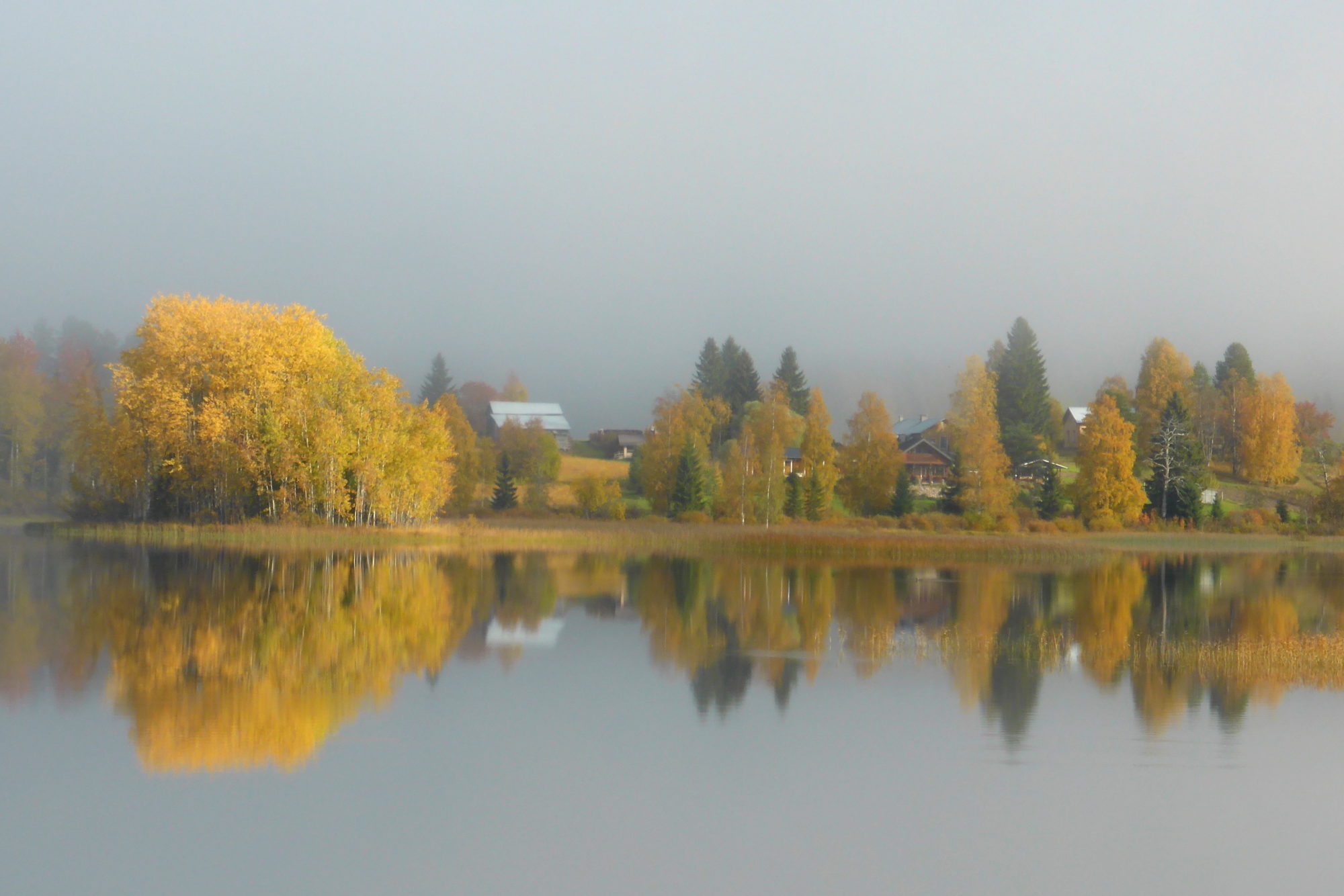 Valokuvaaja: Kaarlo Asikainen