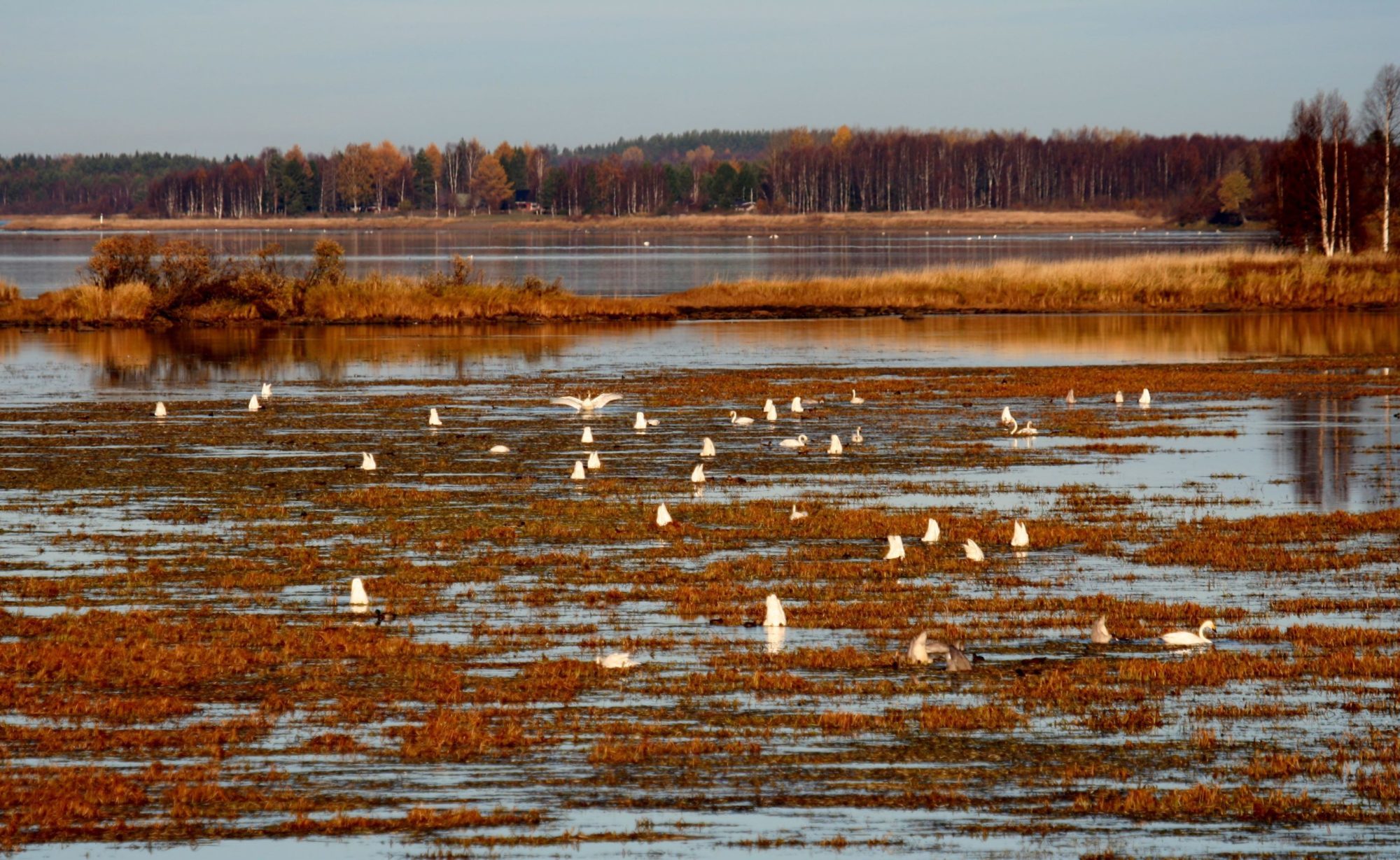 Valokuvaaja: Pirkko Siukonen