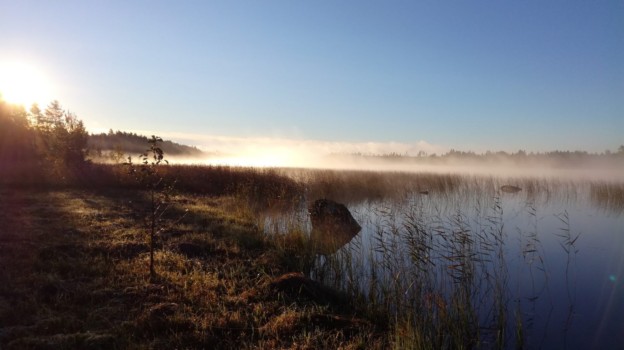 Valokuvaaja: Mervi Hätinen