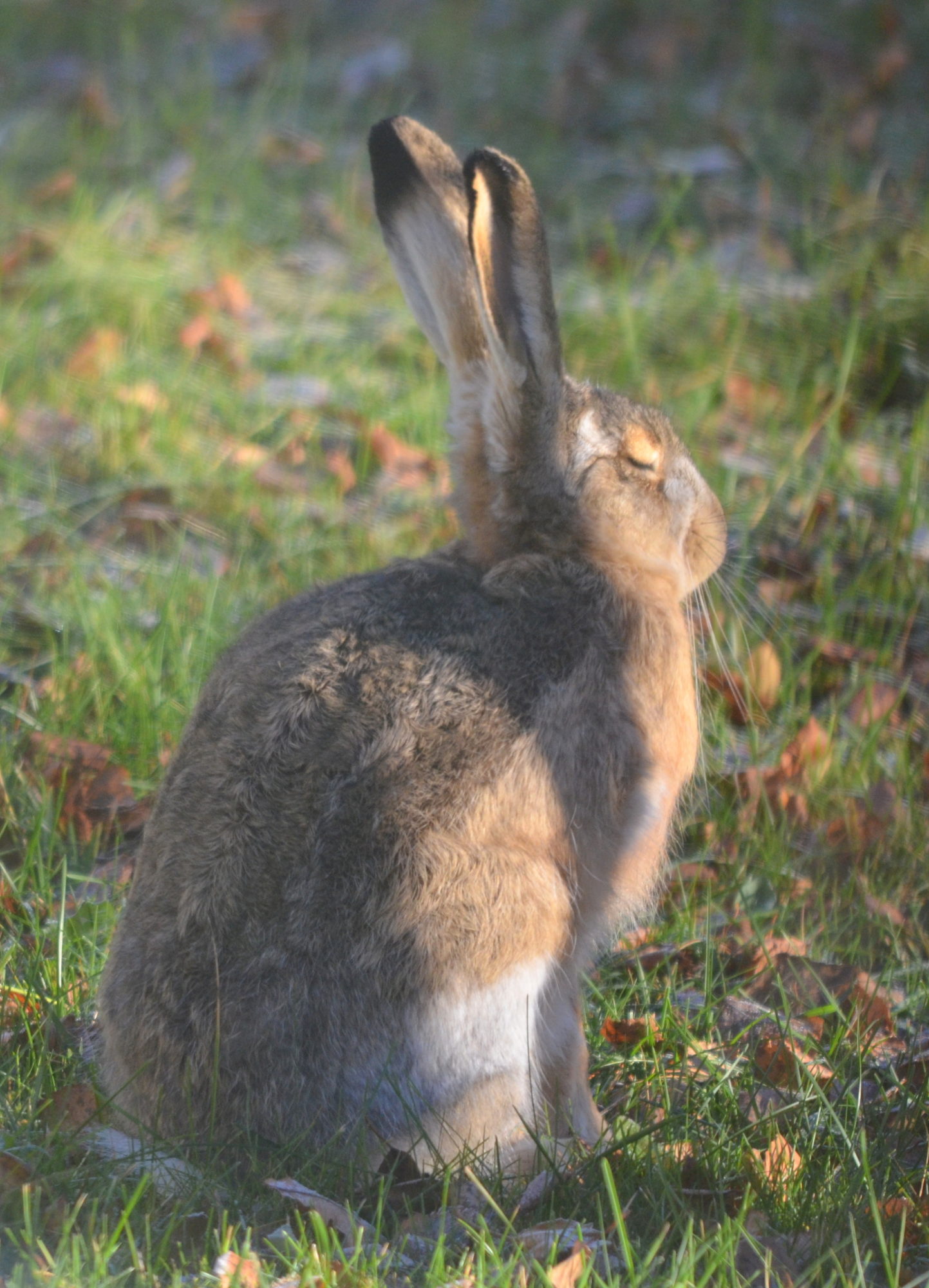 Valokuvaaja: Kaarlo Asikainen