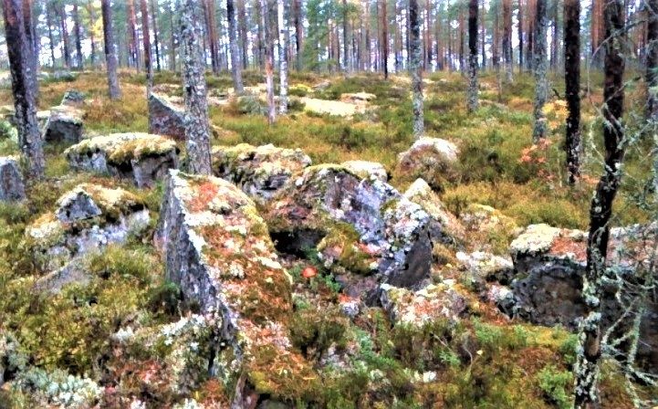 Valokuvaaja: Eero Paalijärvi Valokuvaaja: Eero Paalijärvi