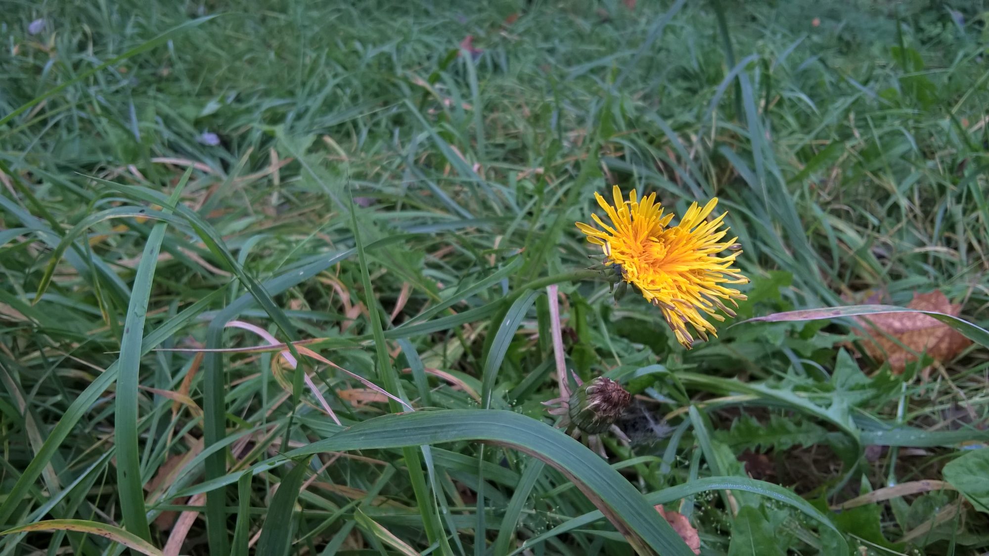 Valokuvaaja: Juha Laine