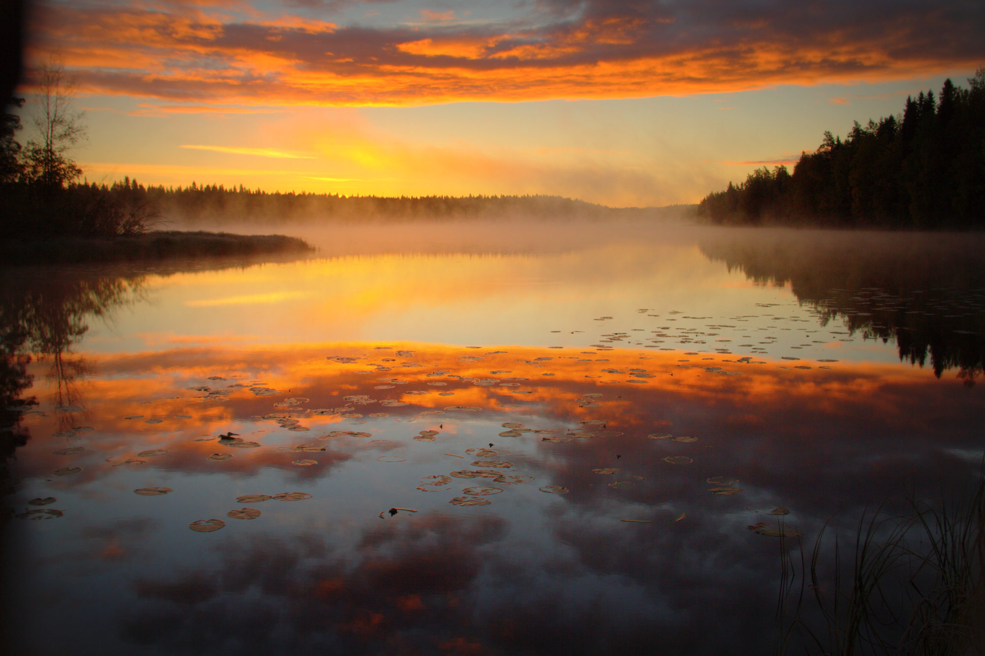 Valokuvaaja: Sirpa Jyske