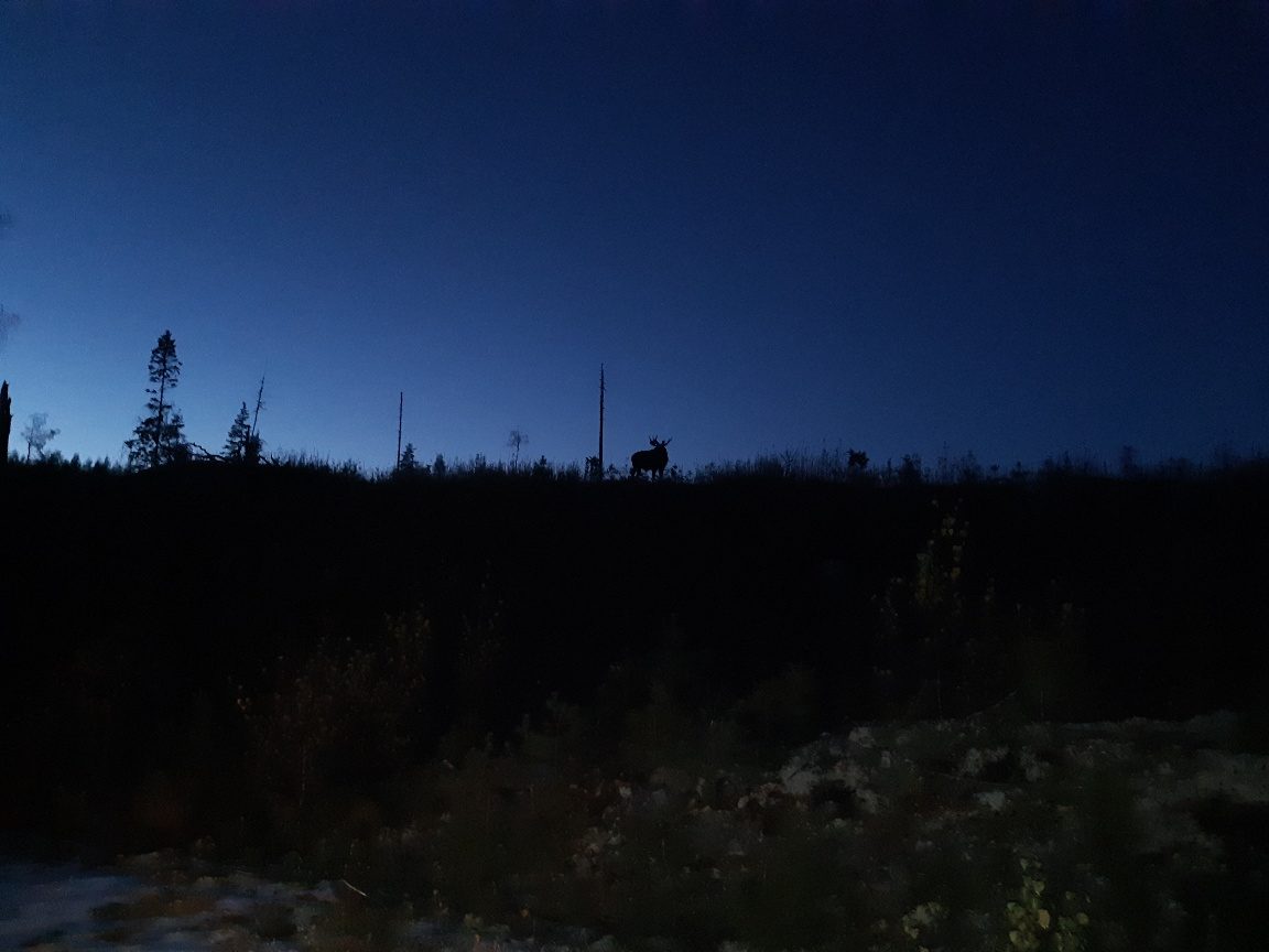 Valokuvaaja: Raimo Häkkinen