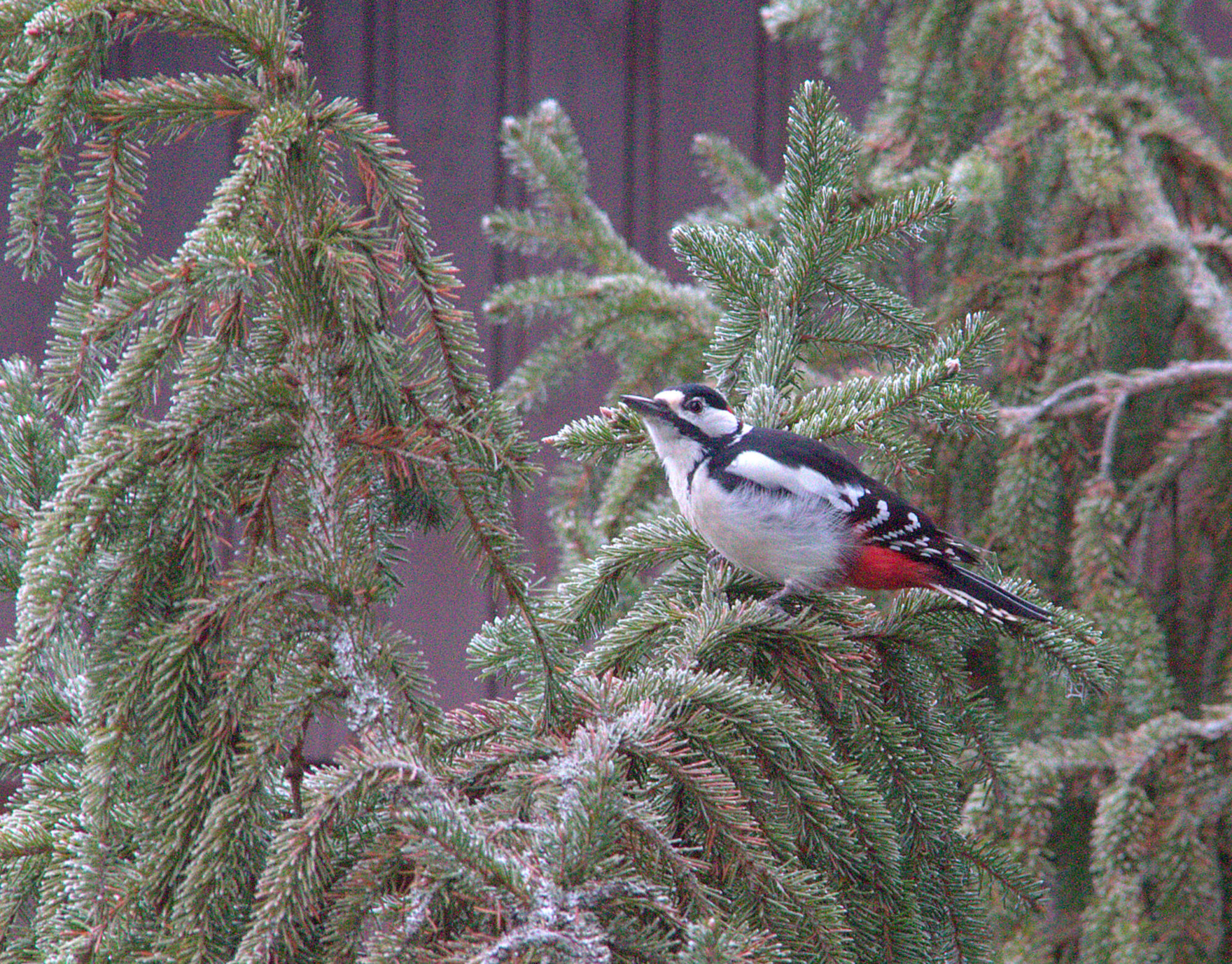 Valokuvaaja: Sirpa Jyske