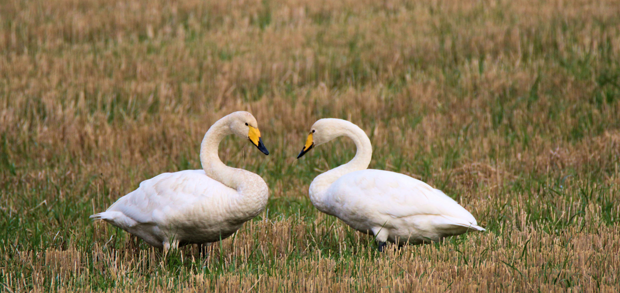 Valokuvaaja: Ahti Keränen
