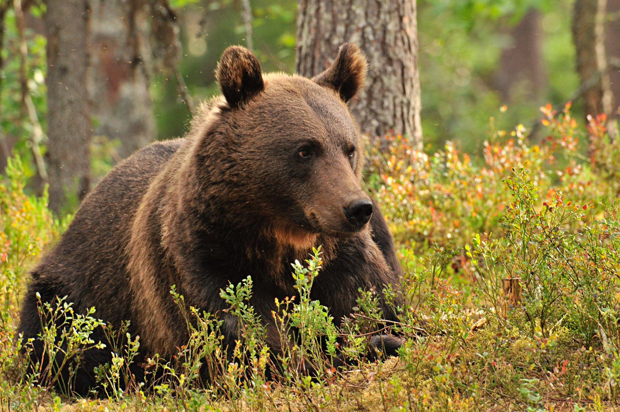 Valokuvaaja: Jenni Merilä