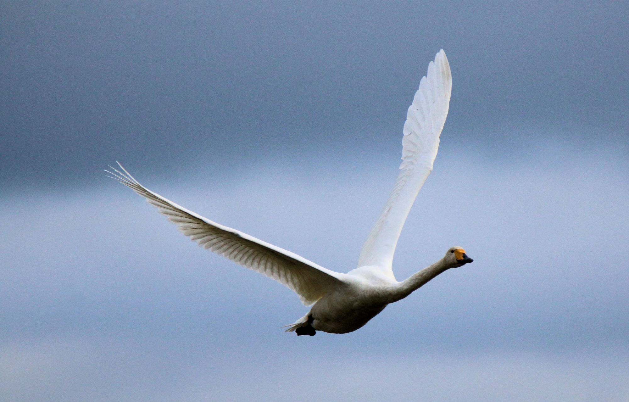Valokuvaaja: Ahti Keränen