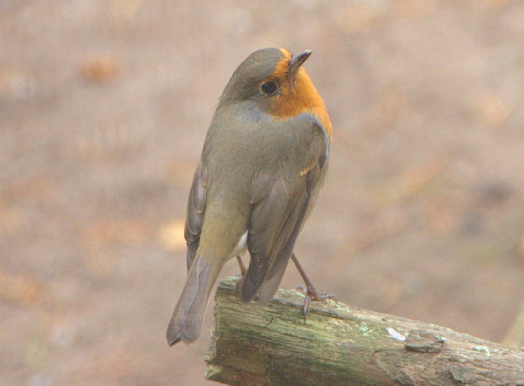 Valokuvaaja: Sirpa Jyske