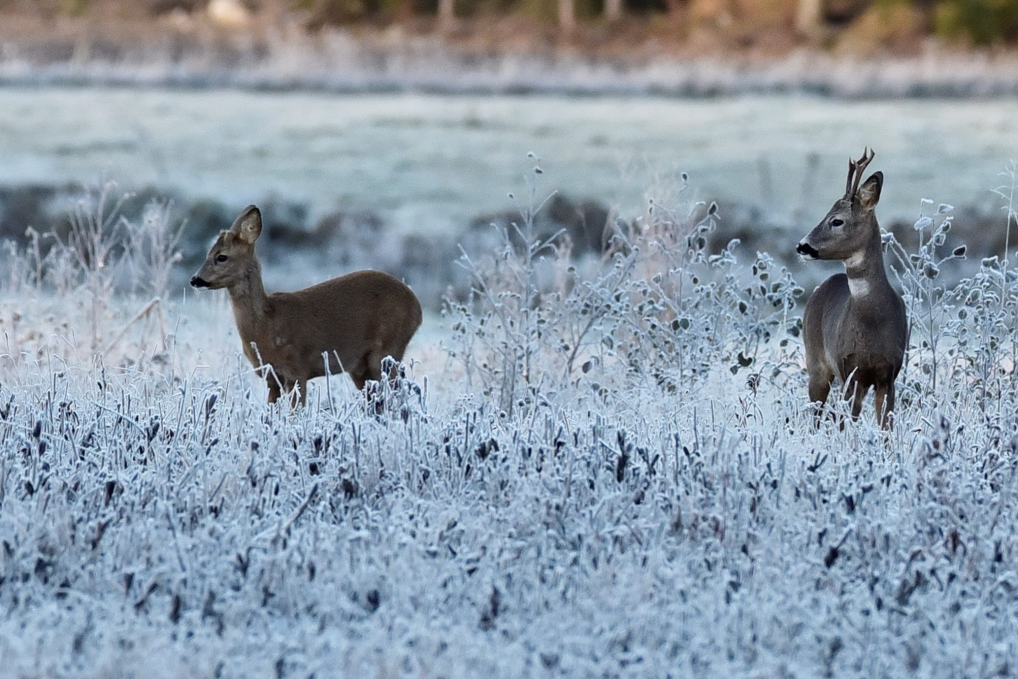 Valokuvaaja: Yvonne Okkola