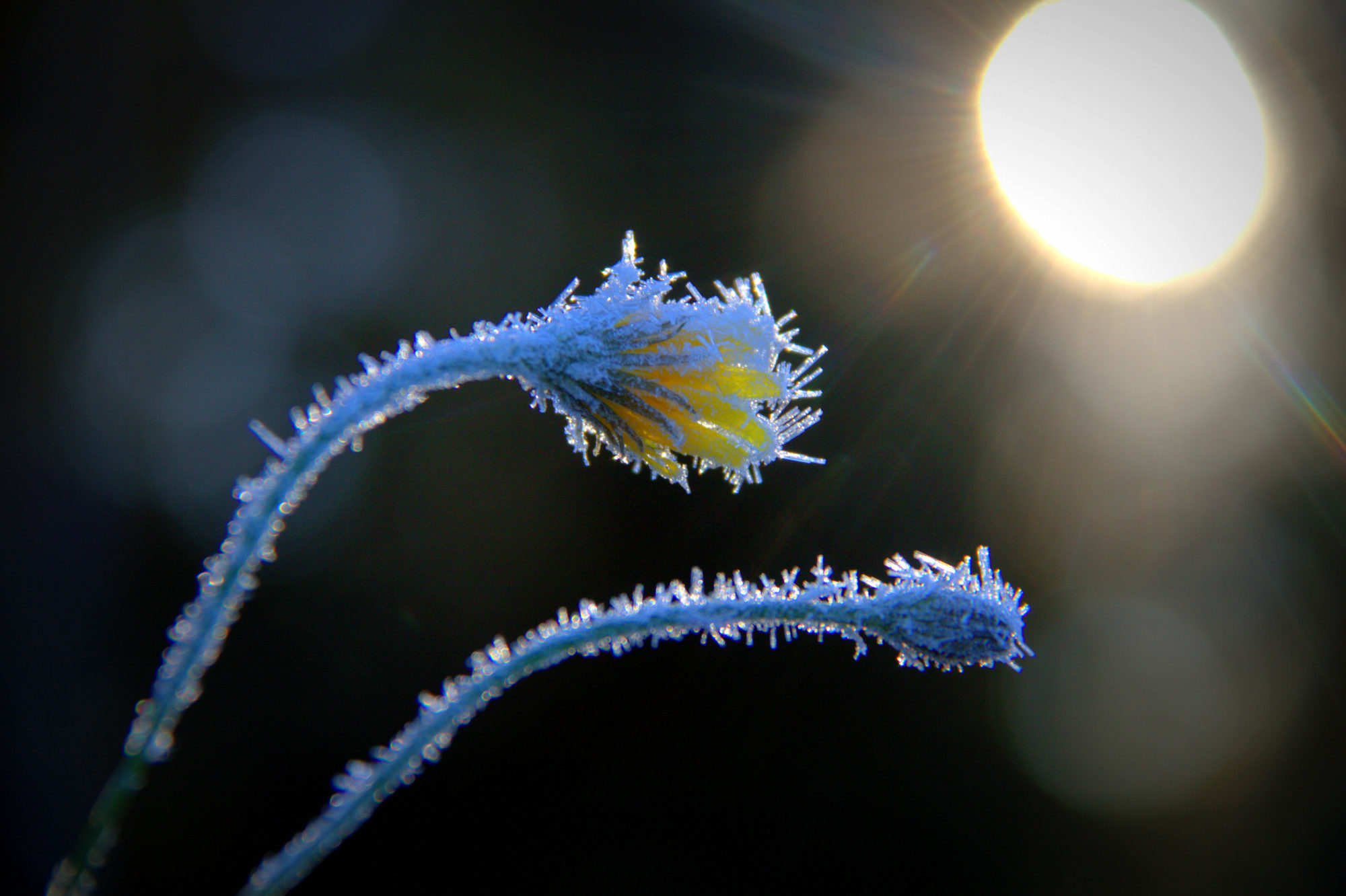 Valokuvaaja: sirpa Jyske