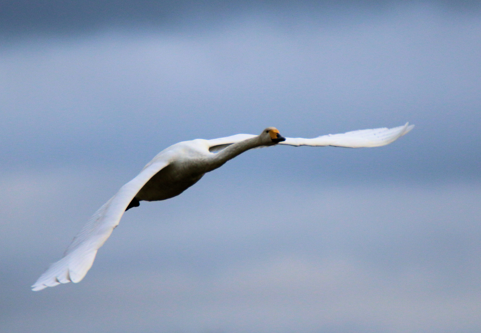 Valokuvaaja: Ahti Keränen