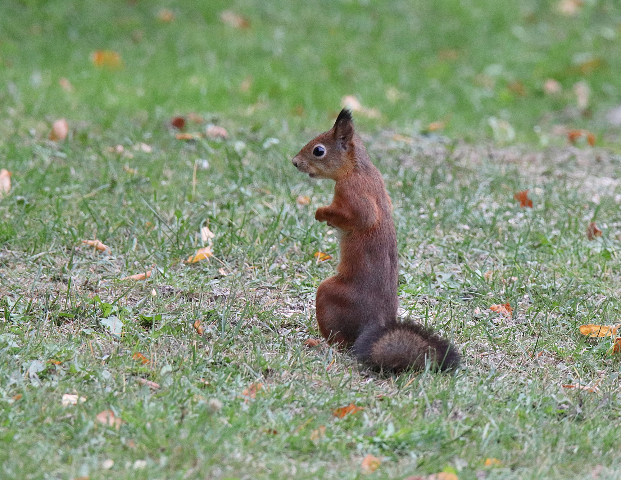 Valokuvaaja: Sirpa Jyske