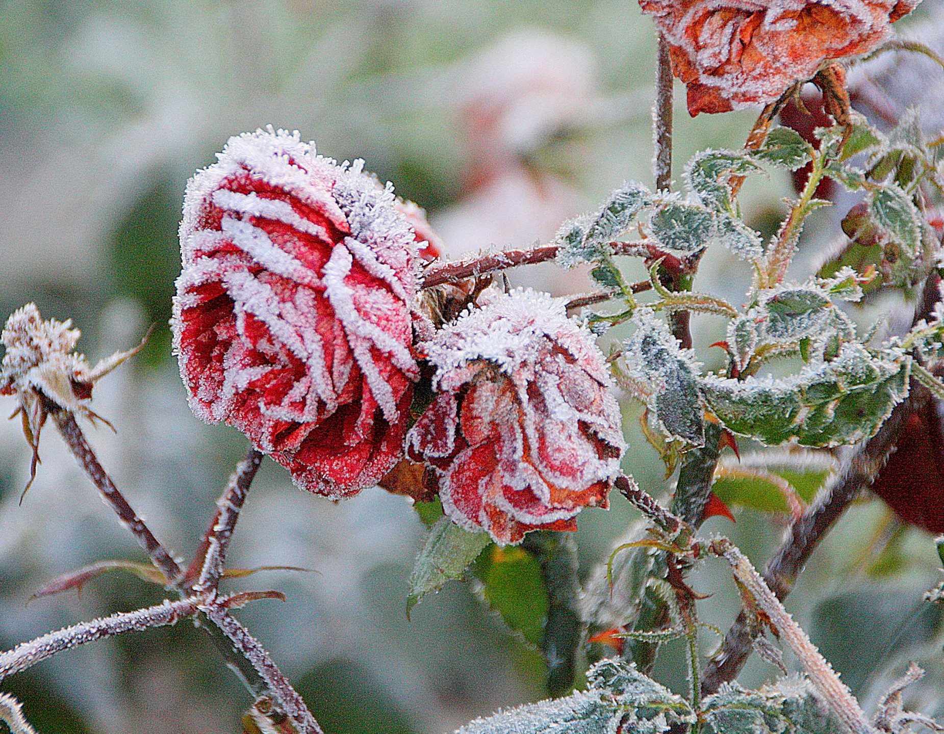 Valokuvaaja: sirpa jyske