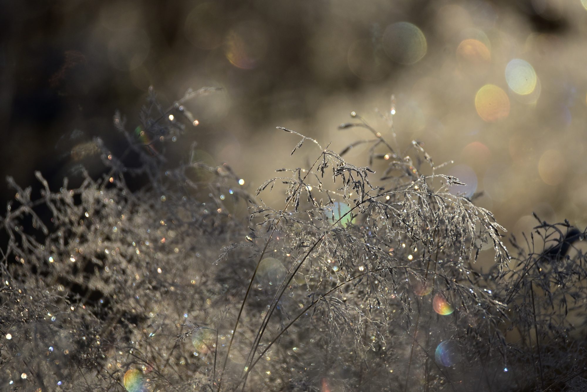 Valokuvaaja: Yvonne Okkola